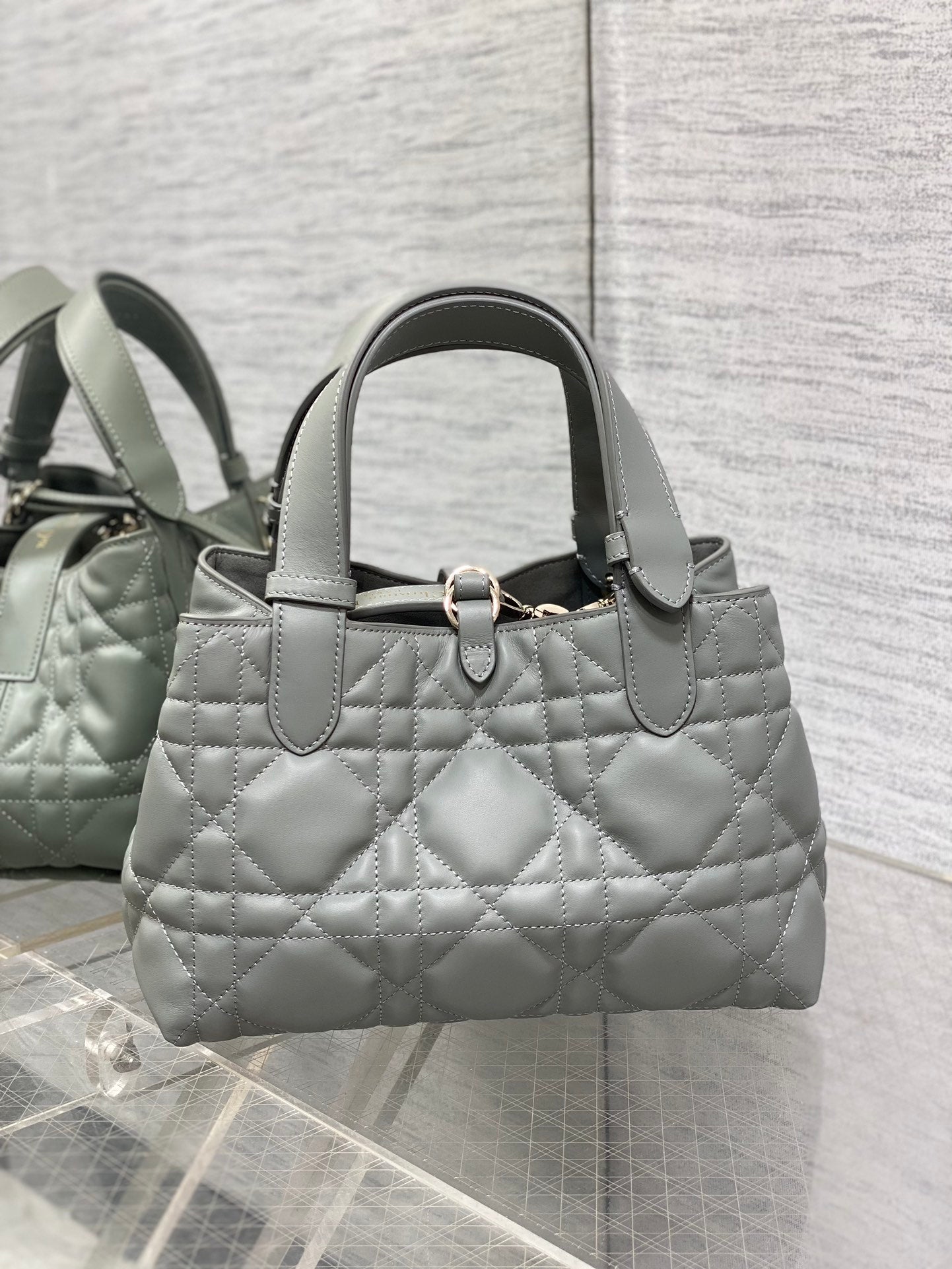 BAG-DIOR-W-LY-229