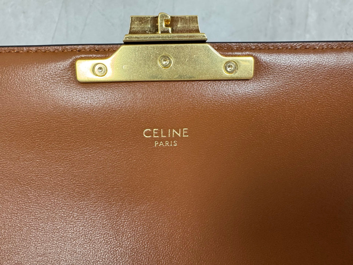 BAG-CELINE-W-NEW-089