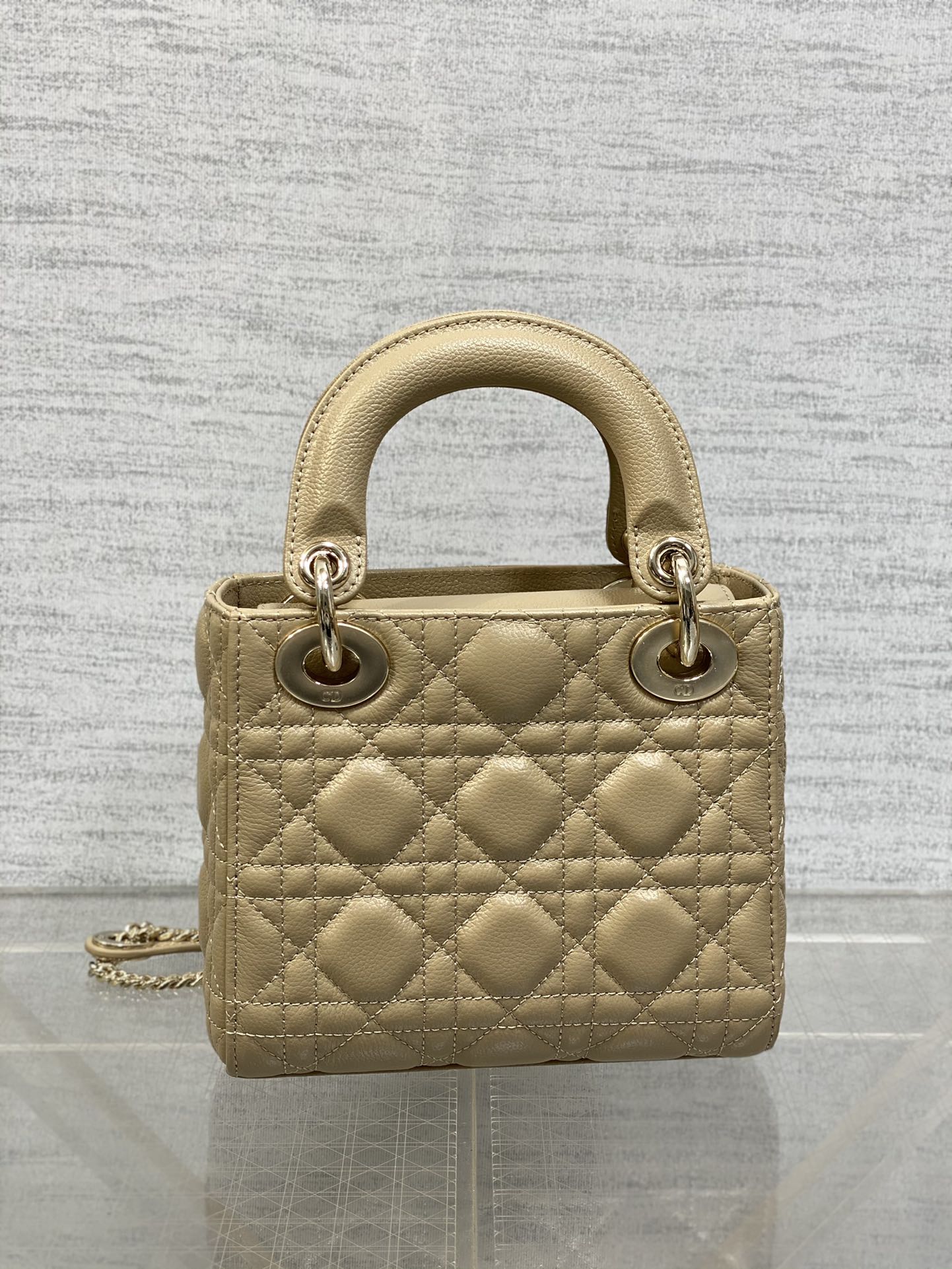 BAG-DIOR-W-LY-527