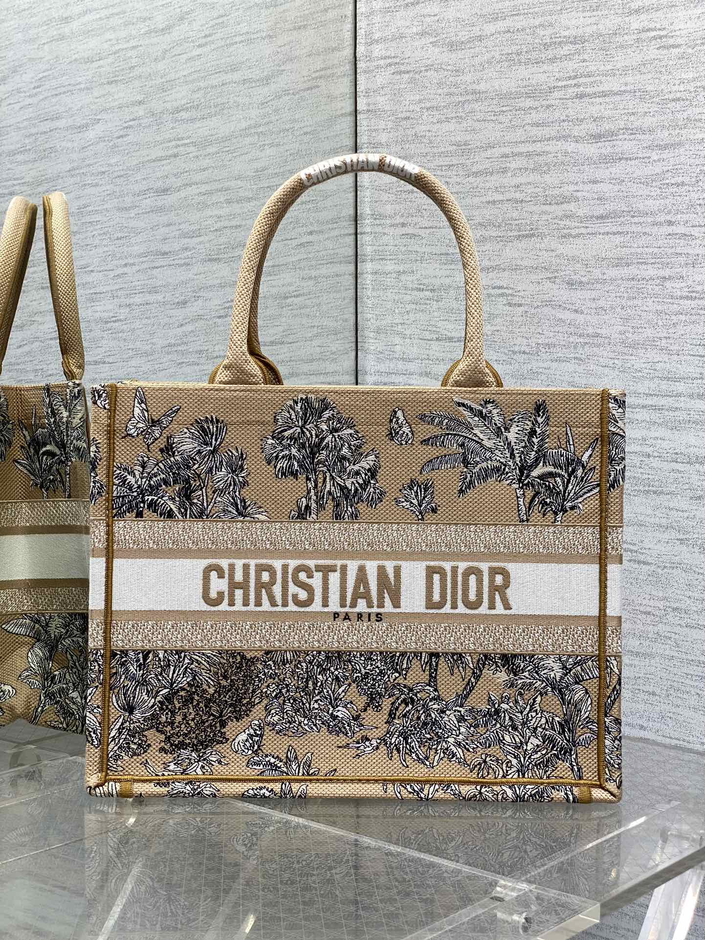 BAG-DIOR-W-LY-897