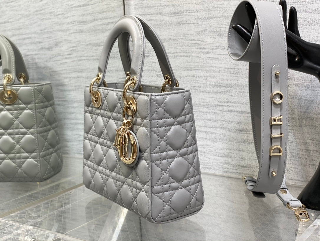 BAG-DIOR-W-LY-661