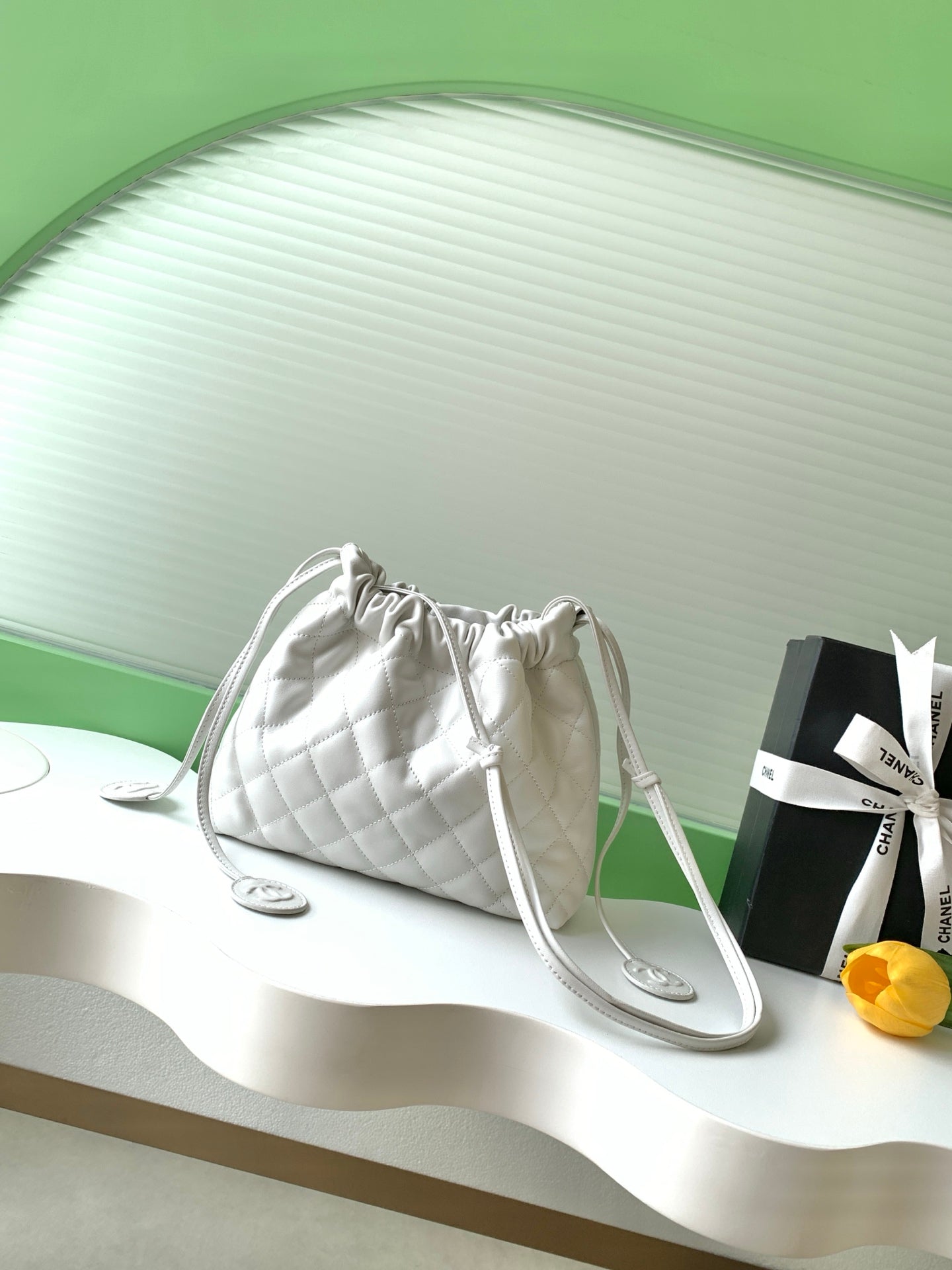 BAG-CHANEL-076