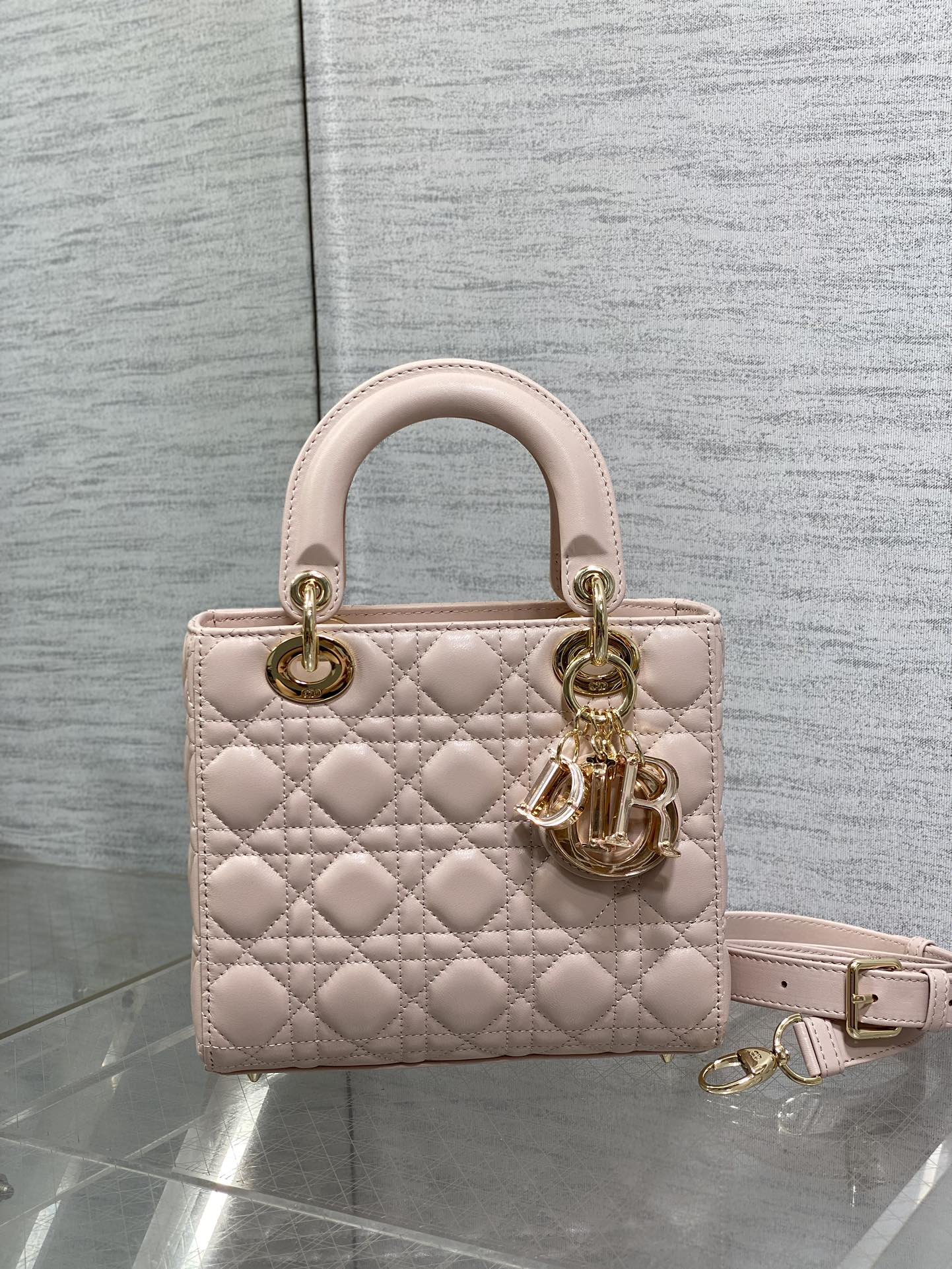 BAG-DIOR-W-LY-015