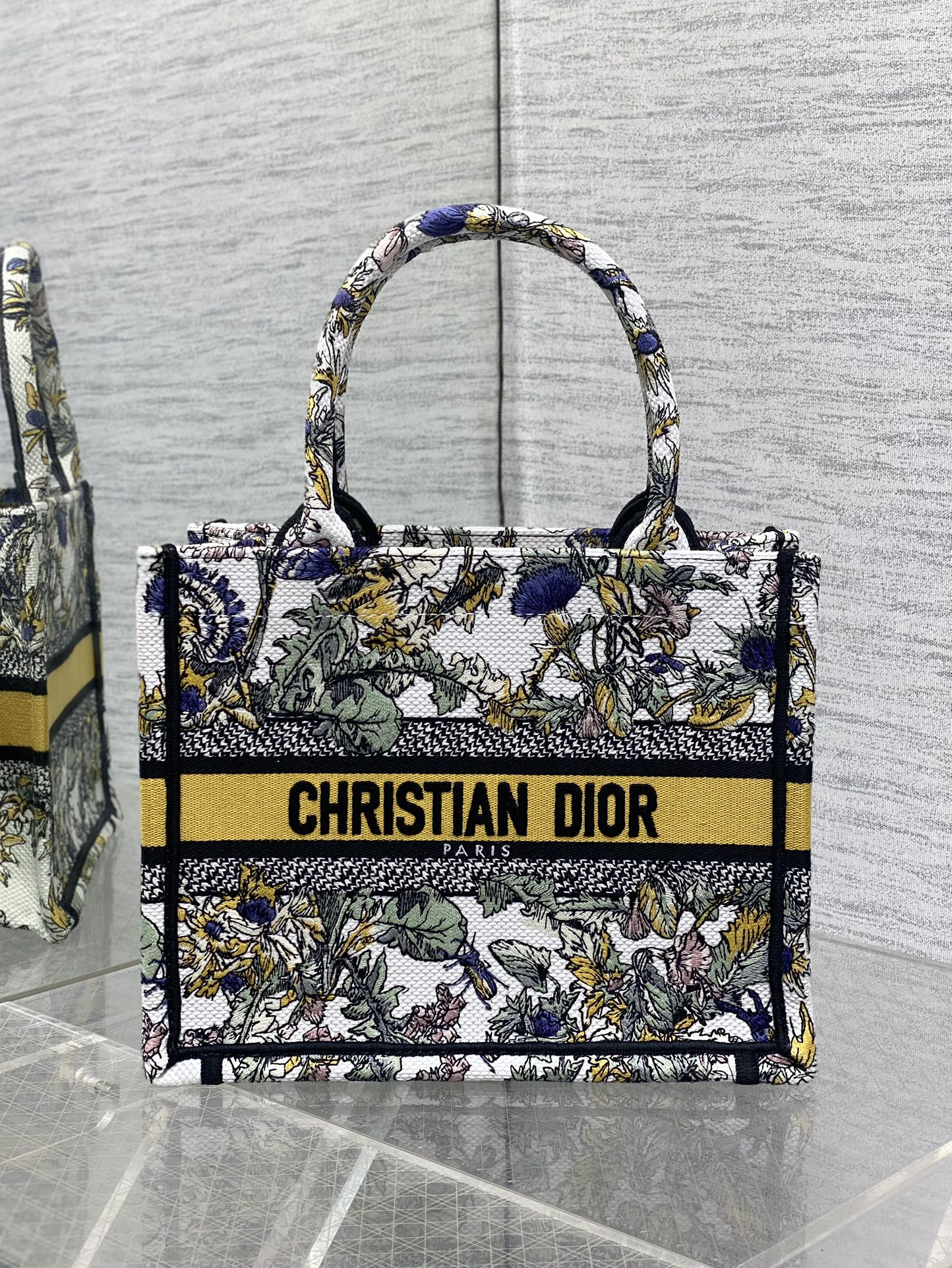BAG-DIOR-W-LY-860