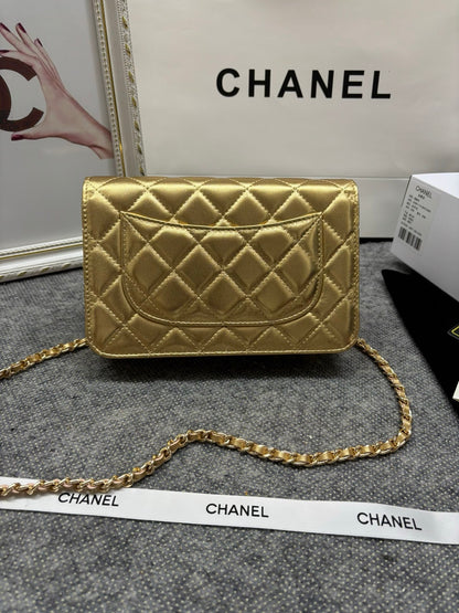 BAG-CHANEL-150