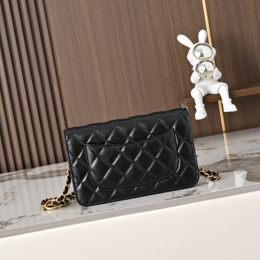 BAG-CHANEL-070