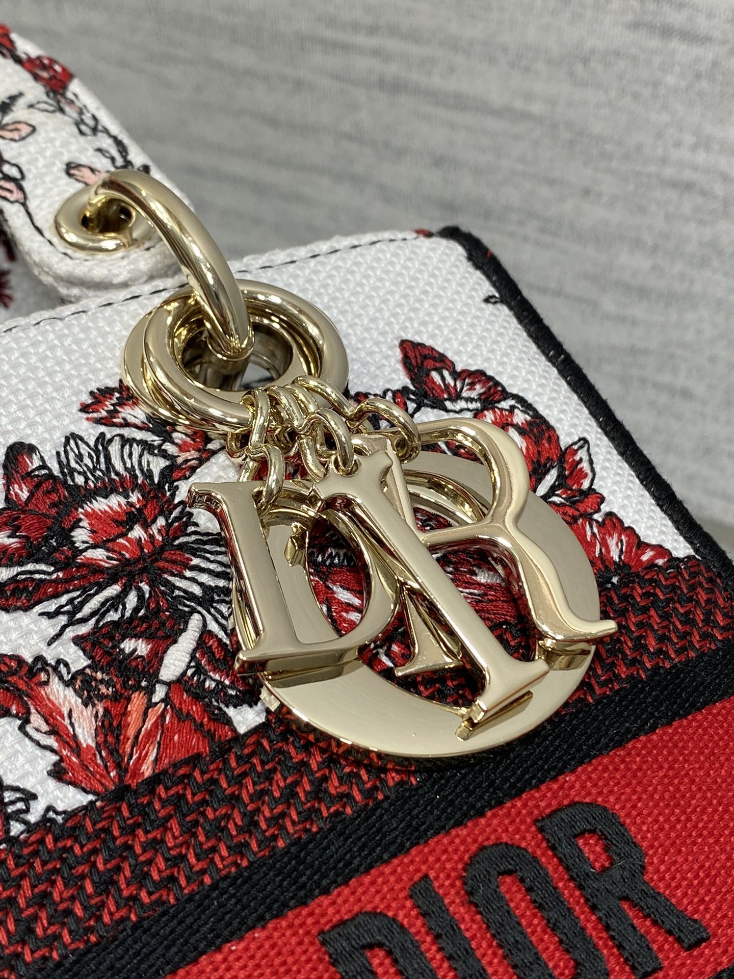 BAG-DIOR-W-LY-447