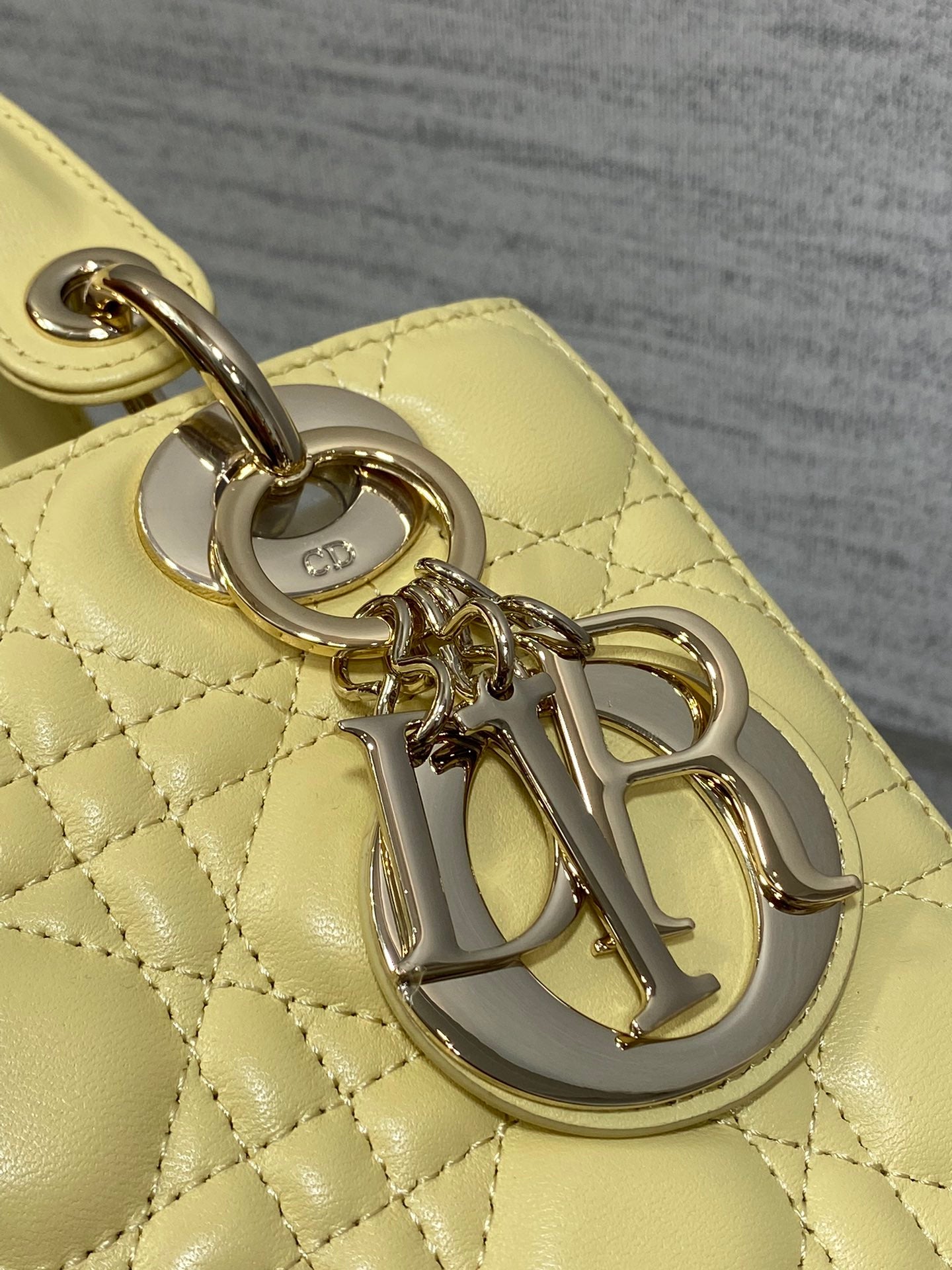 BAG-DIOR-W-LY-559