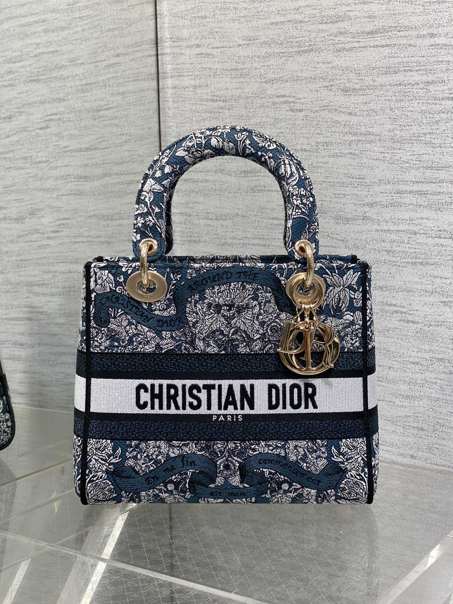 BAG-DIOR-W-LY-496