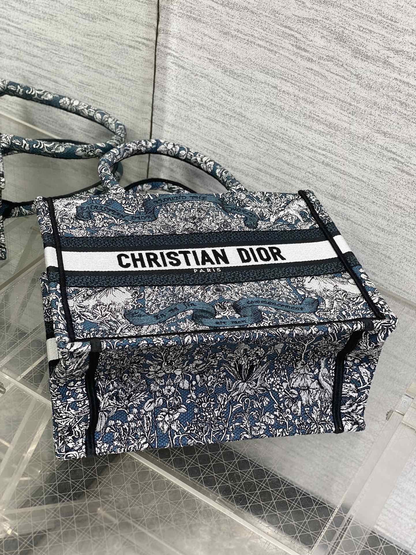 BAG-DIOR-W-LY-824
