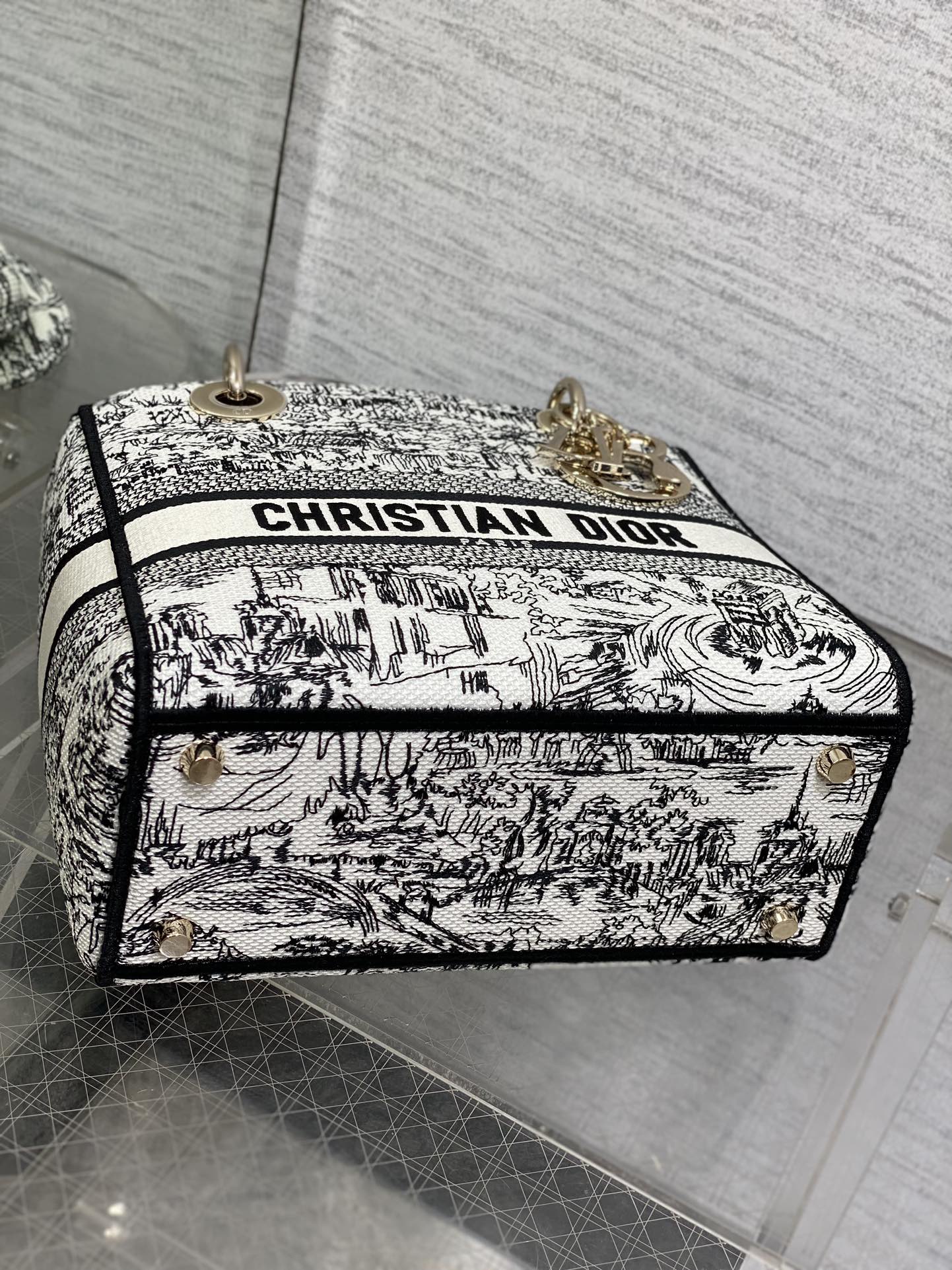 BAG-DIOR-W-LY-491