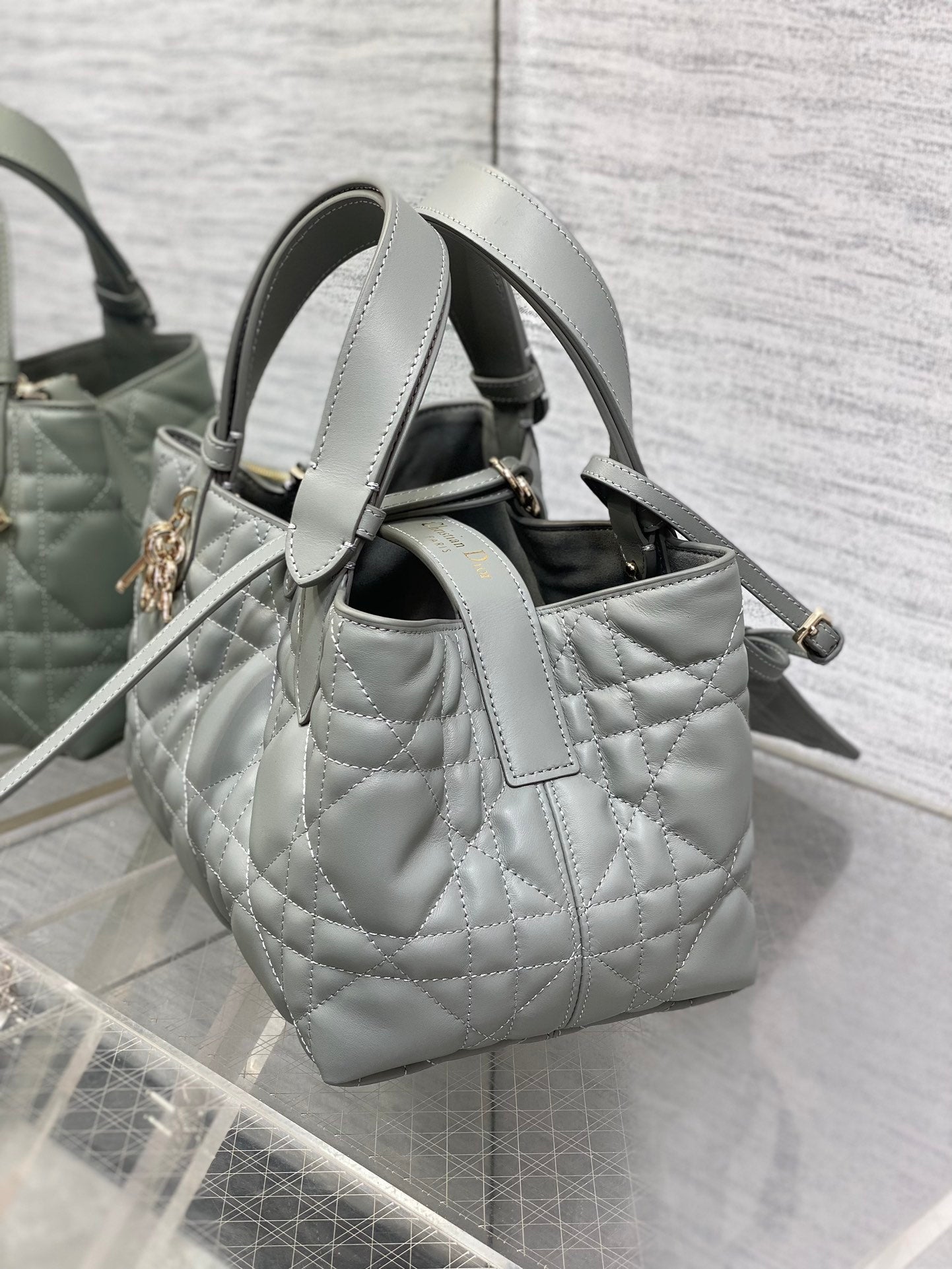 BAG-DIOR-W-LY-229