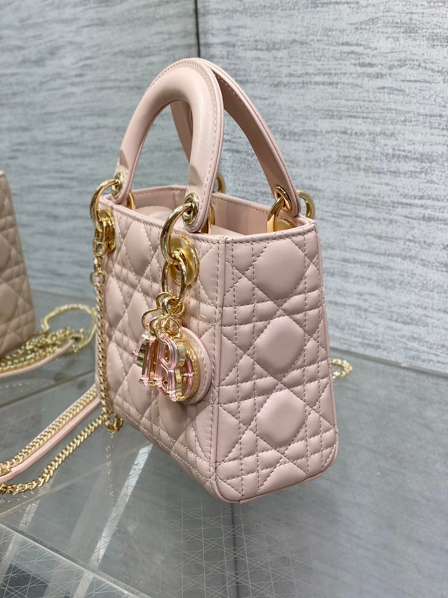 BAG-DIOR-W-LY-014