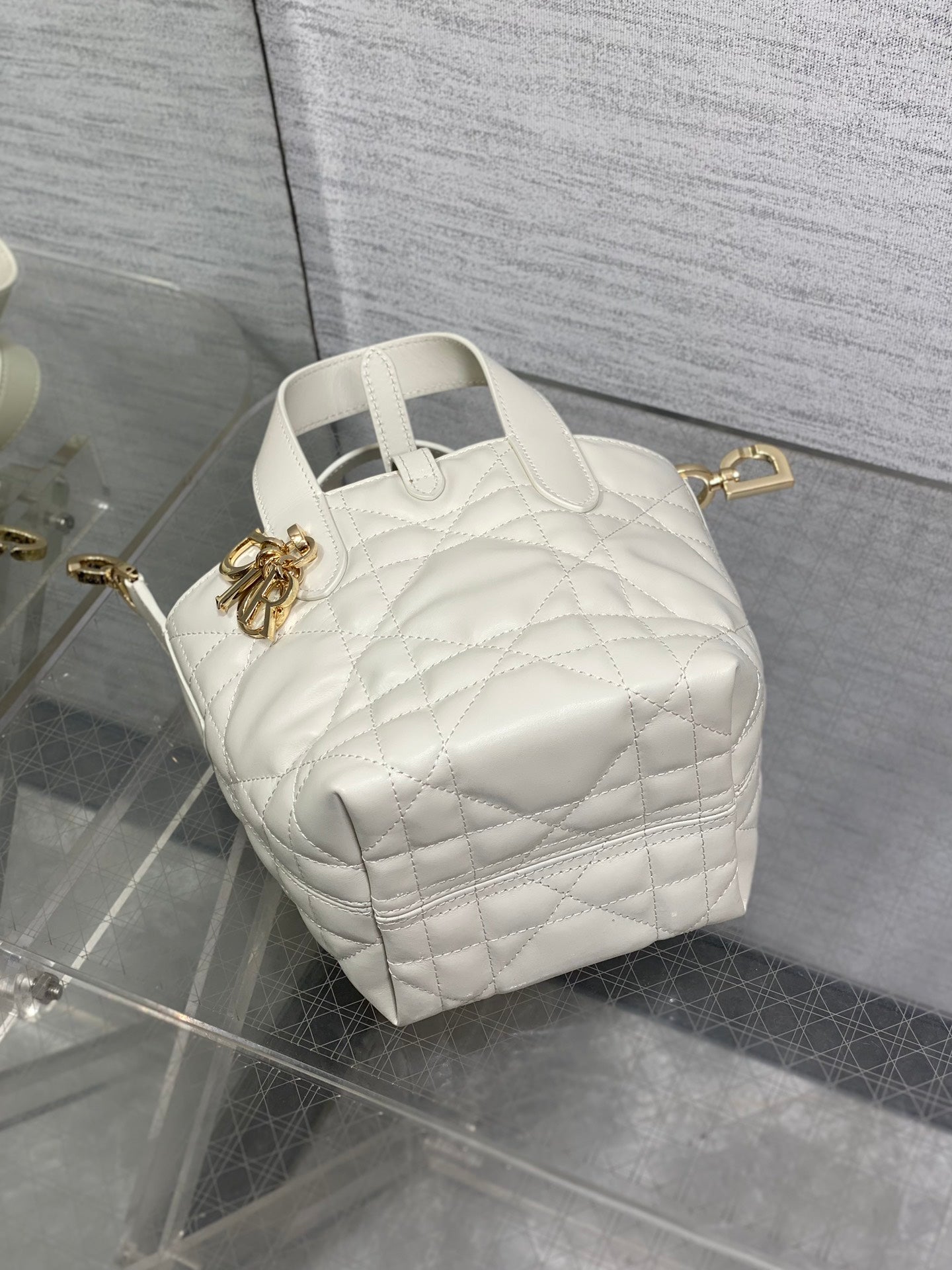 BAG-DIOR-W-LY-057