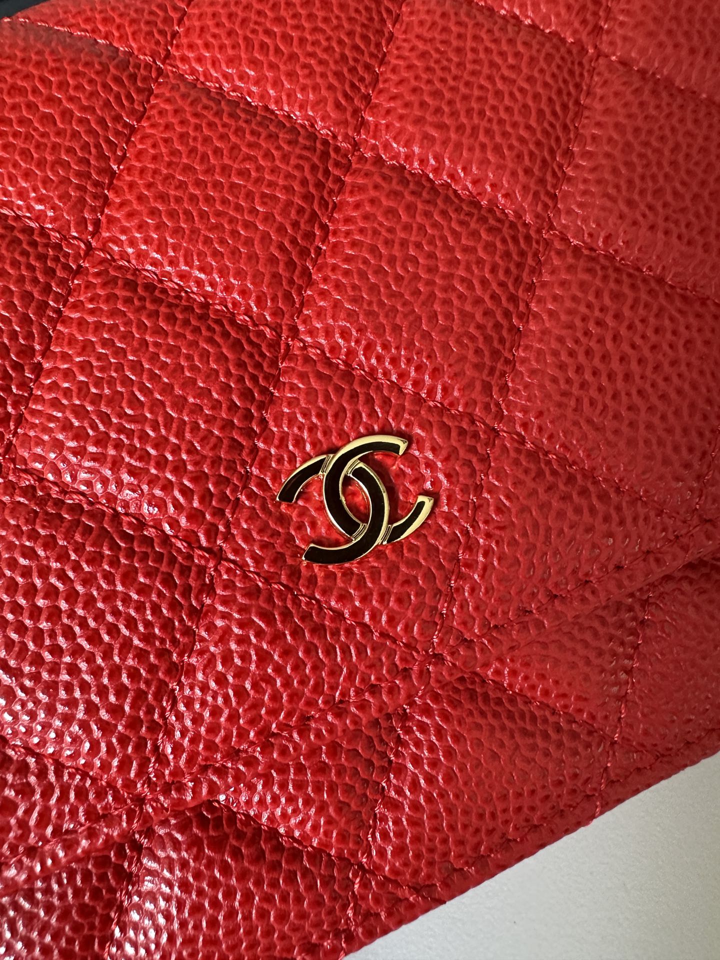 BAG-CHANEL-541