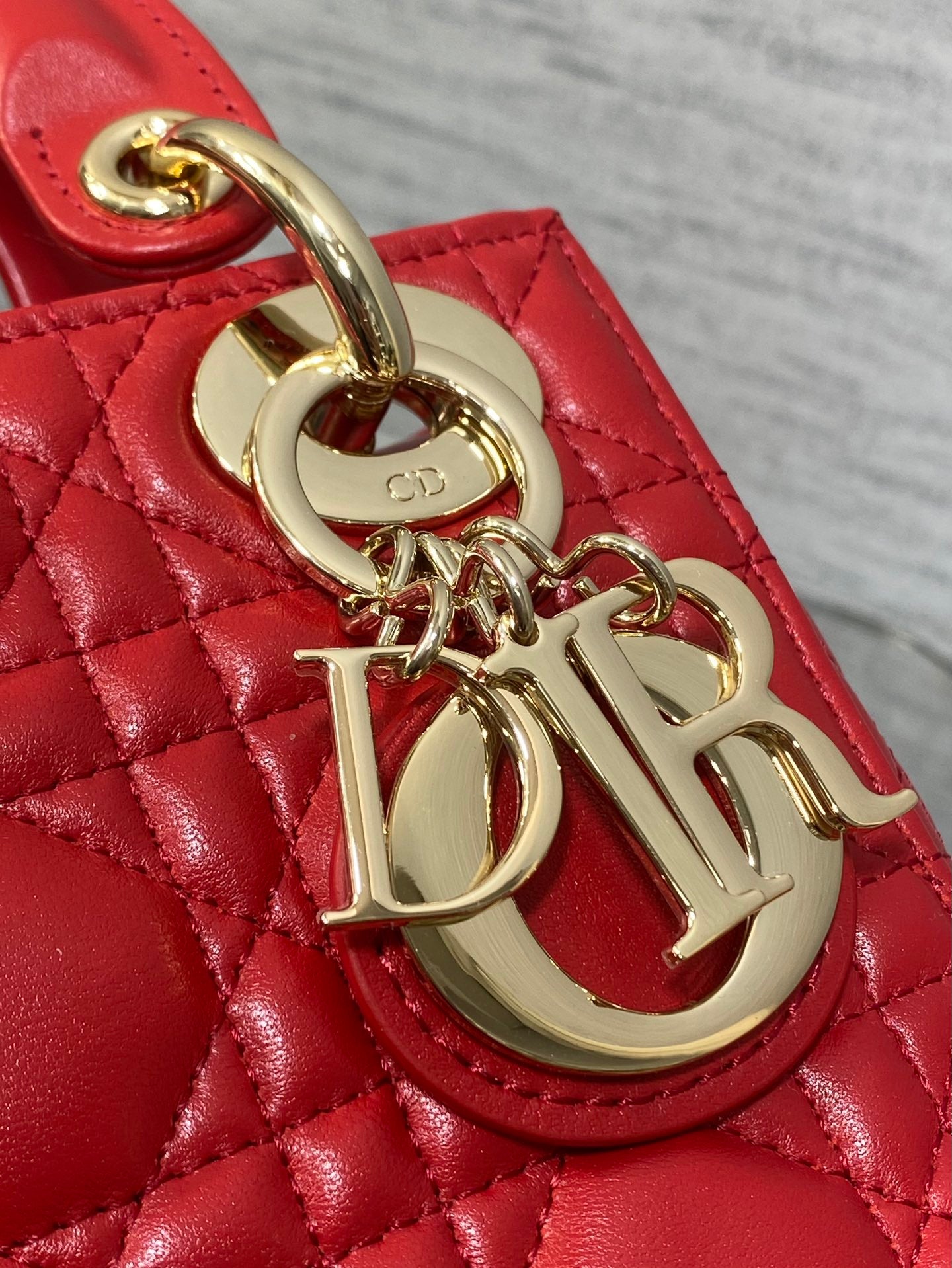 BAG-DIOR-W-LY-744