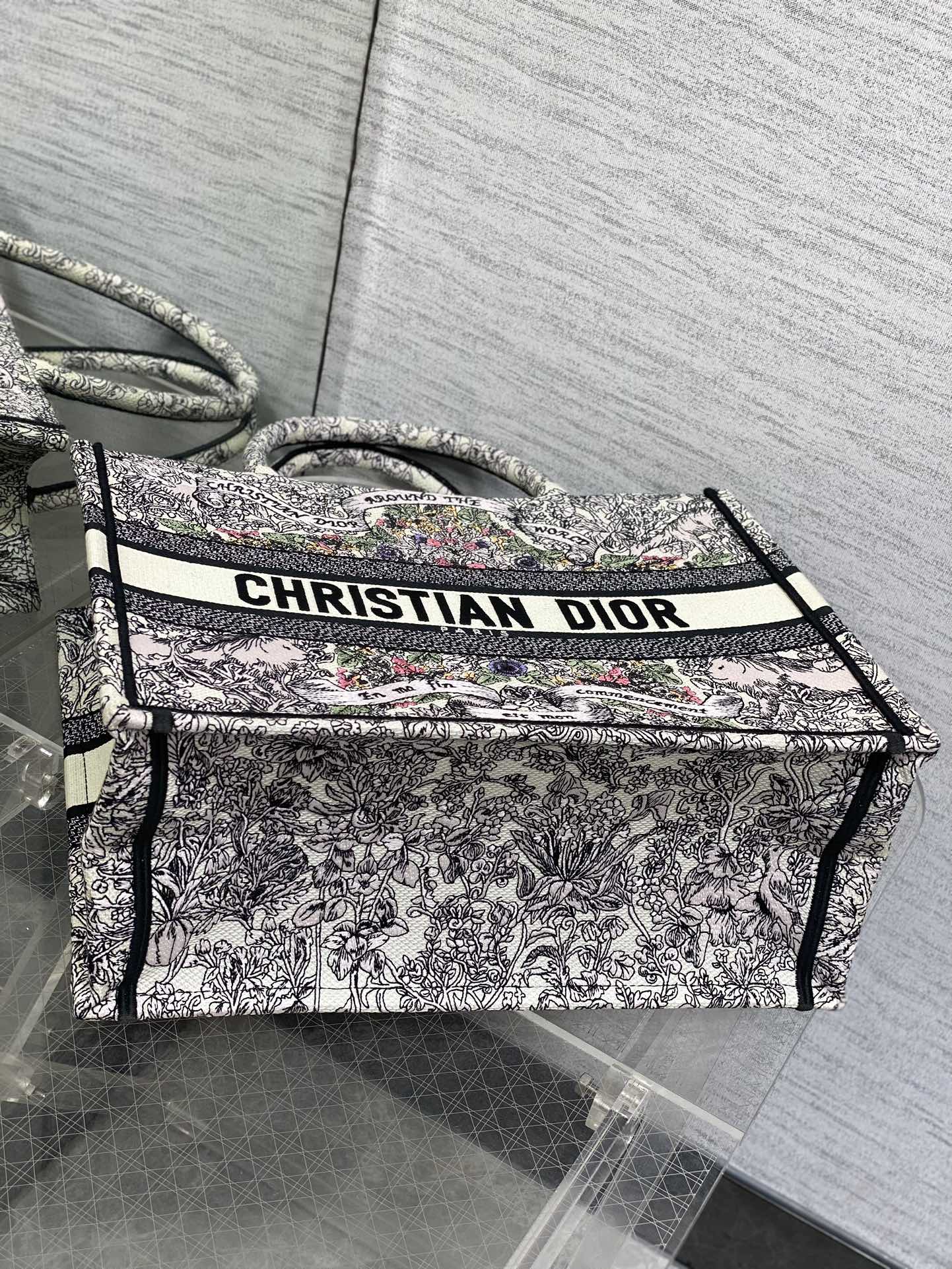 BAG-DIOR-W-LY-197