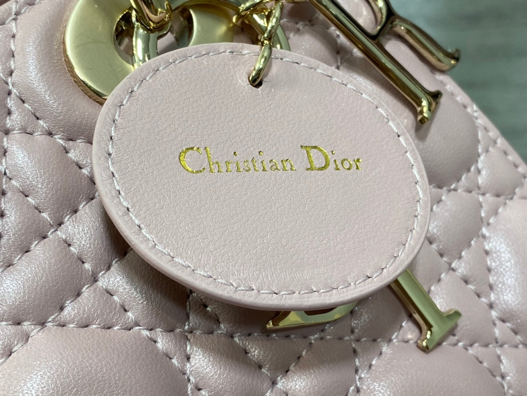 BAG-DIOR-W-LY-660