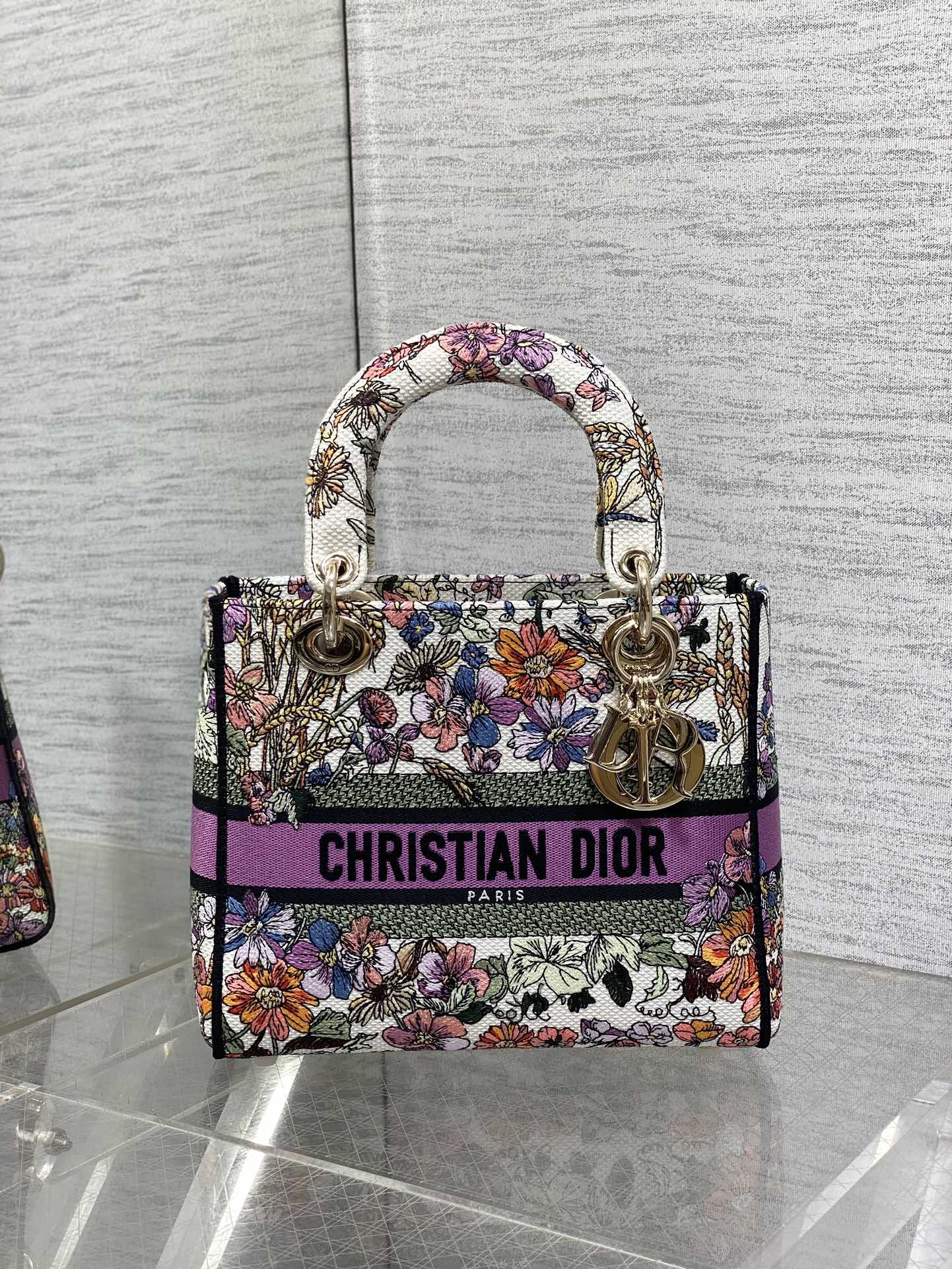 BAG-DIOR-W-LY-073