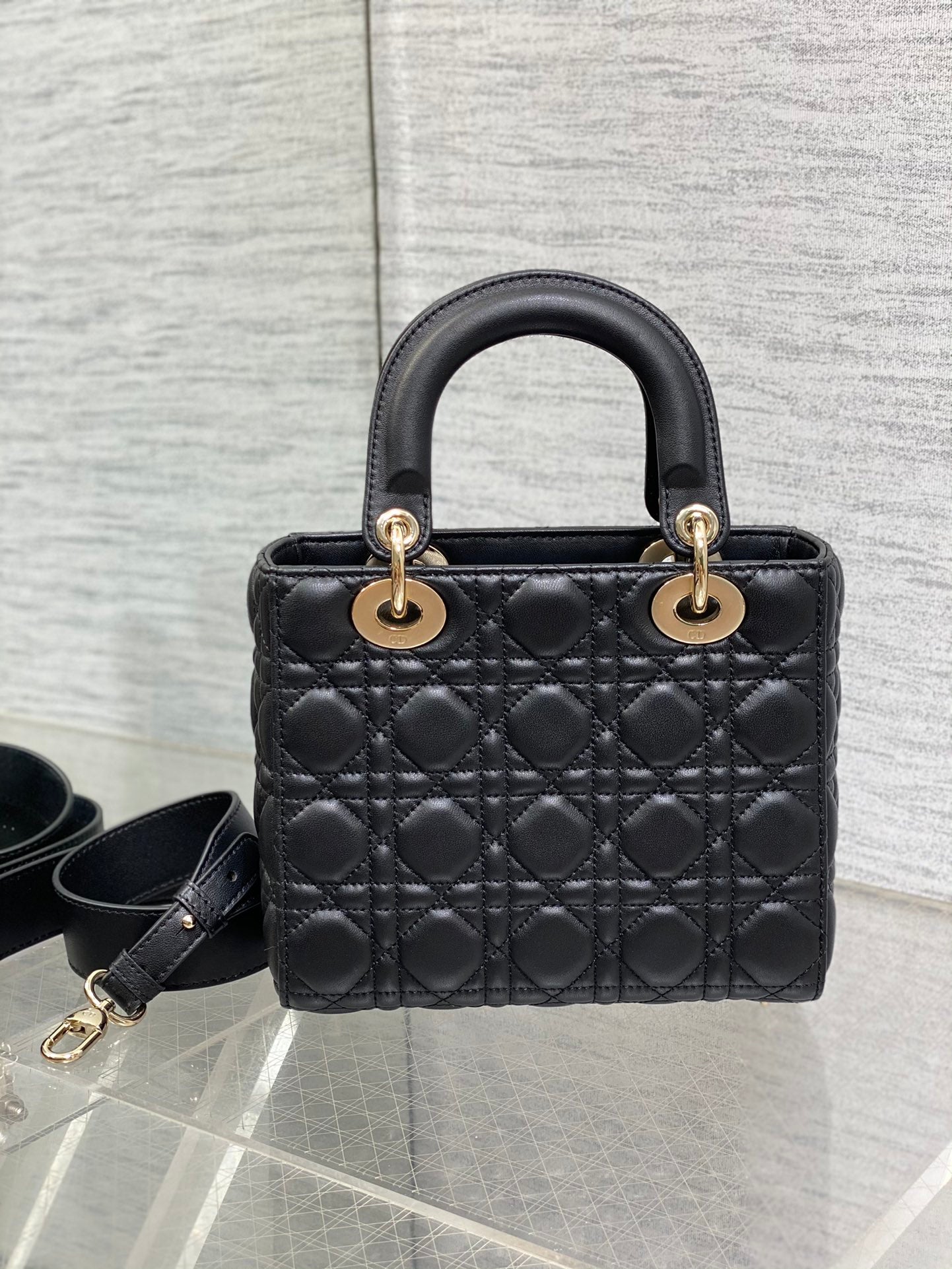 BAG-DIOR-W-LY-662