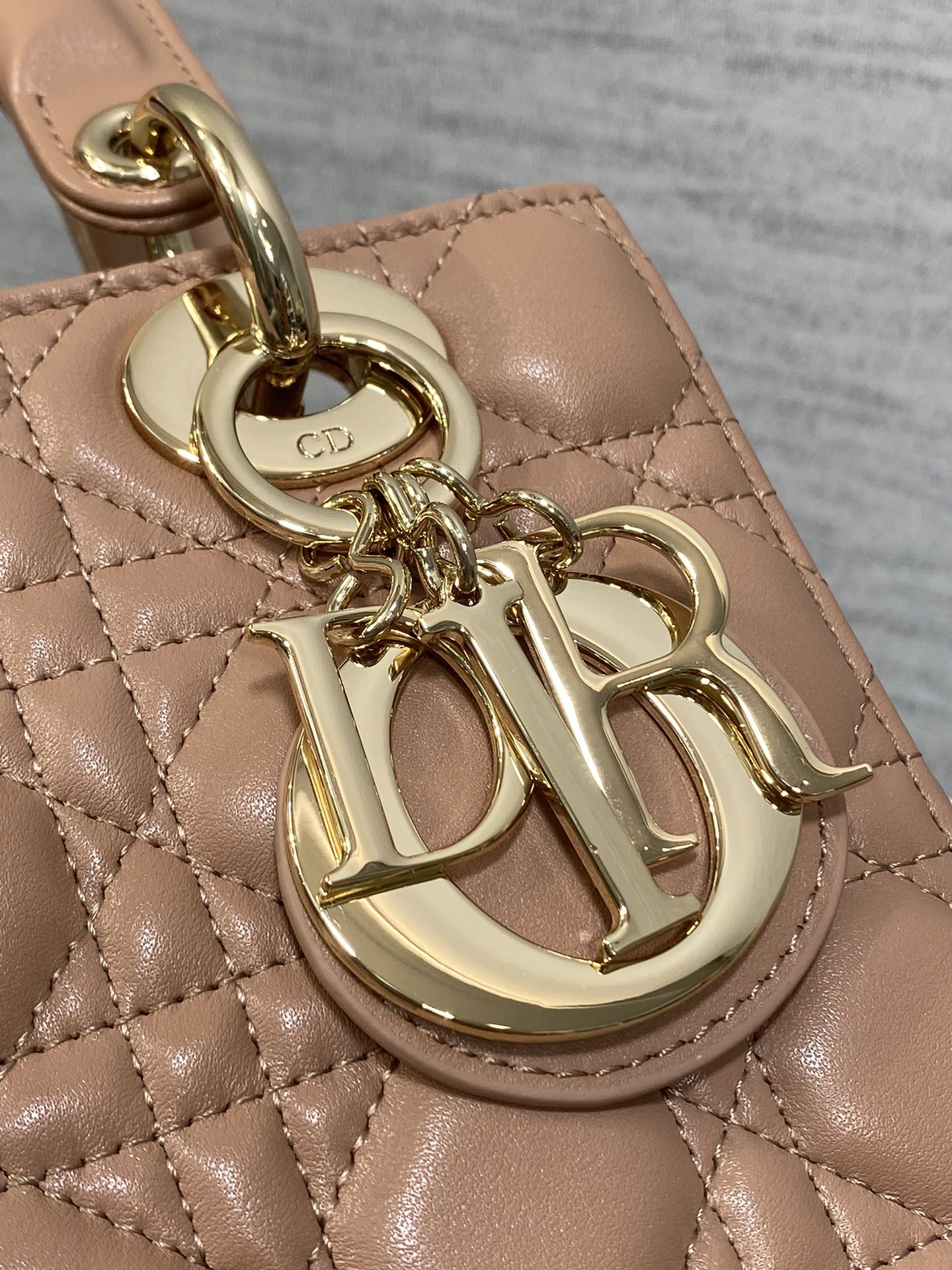 BAG-DIOR-W-LY-765