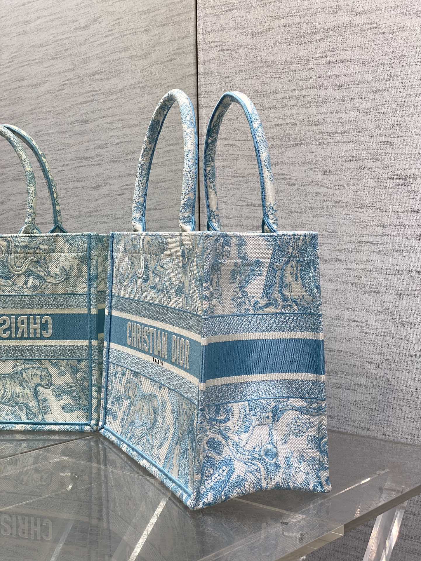 BAG-DIOR-W-LY-933