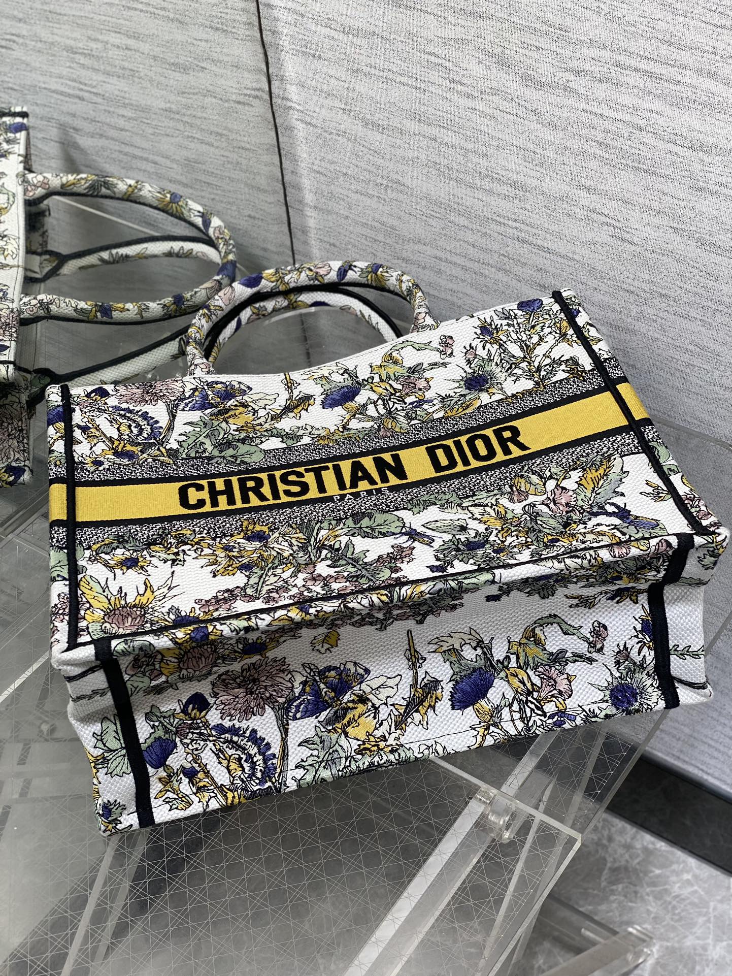 BAG-DIOR-W-LY-857