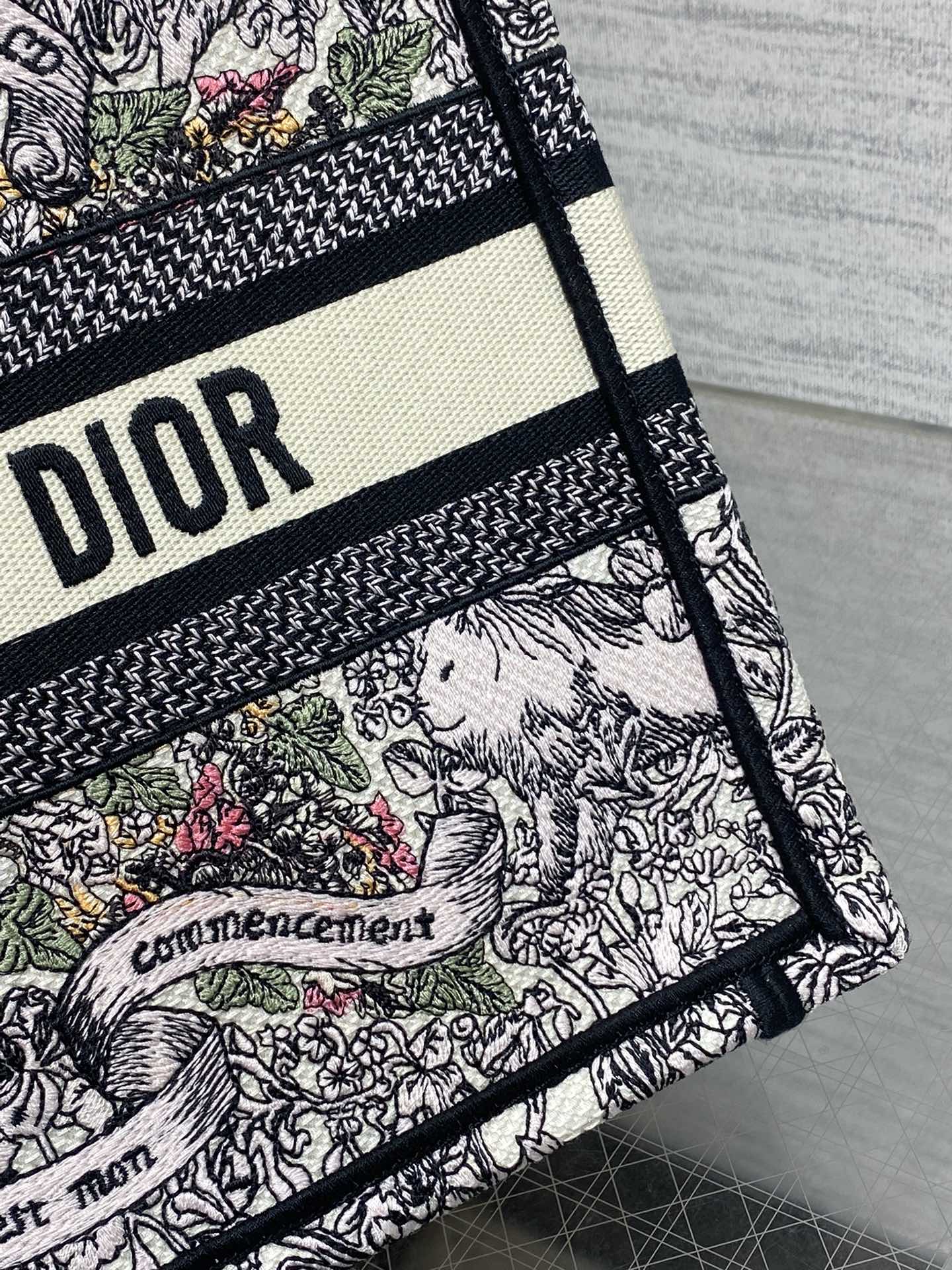 BAG-DIOR-W-LY-842