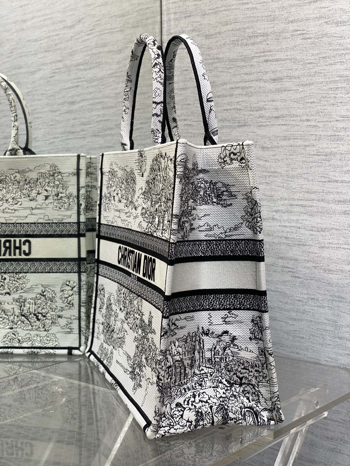 BAG-DIOR-W-LY-864