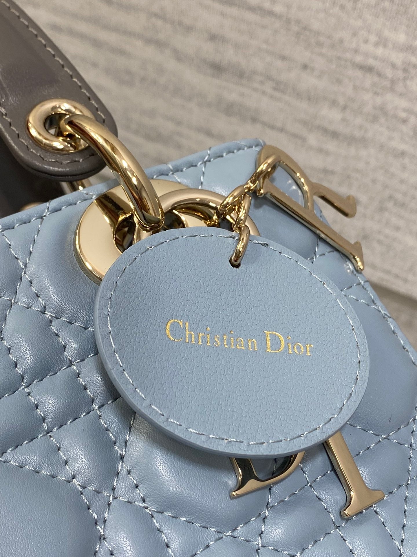 BAG-DIOR-W-LY-549