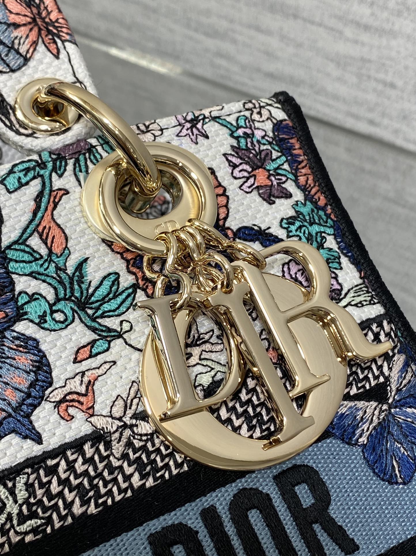 BAG-DIOR-W-LY-505