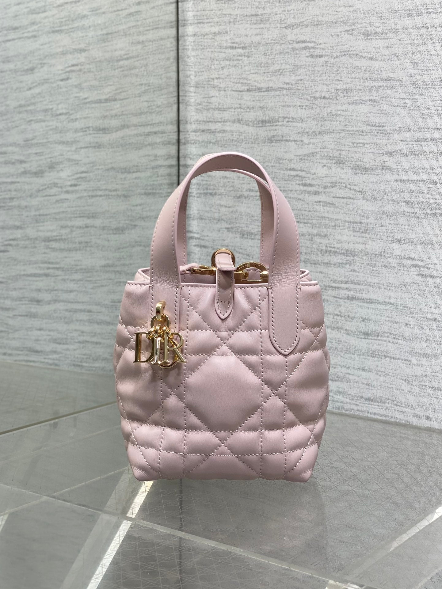 BAG-DIOR-W-LY-056