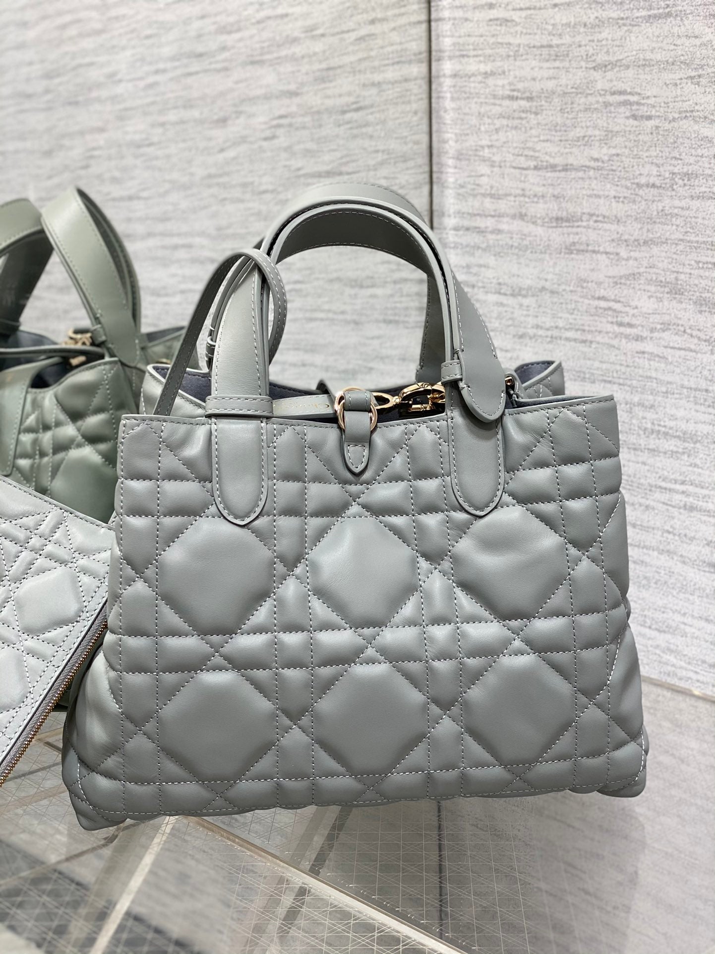 BAG-DIOR-W-LY-183