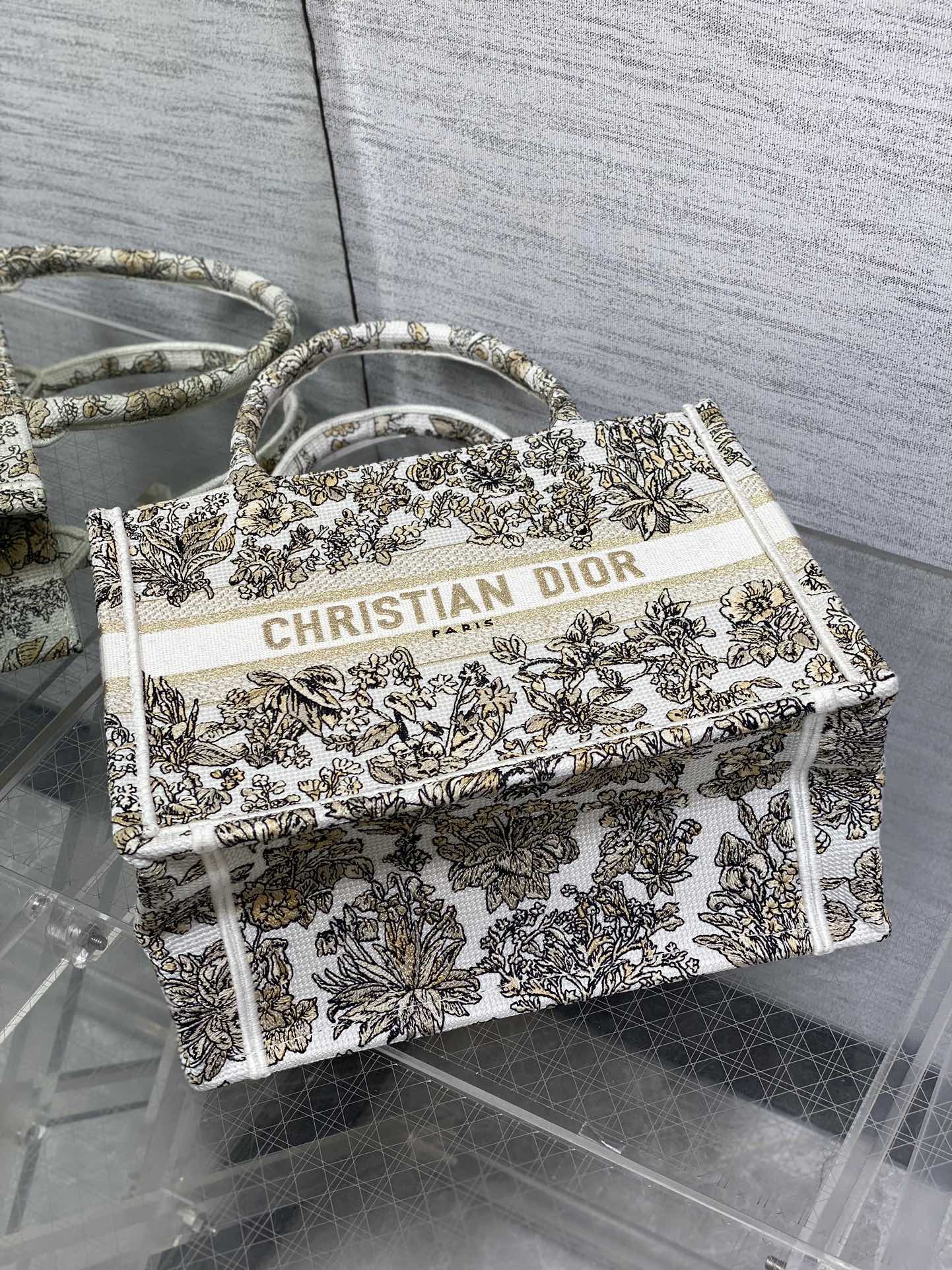 BAG-DIOR-W-LY-201
