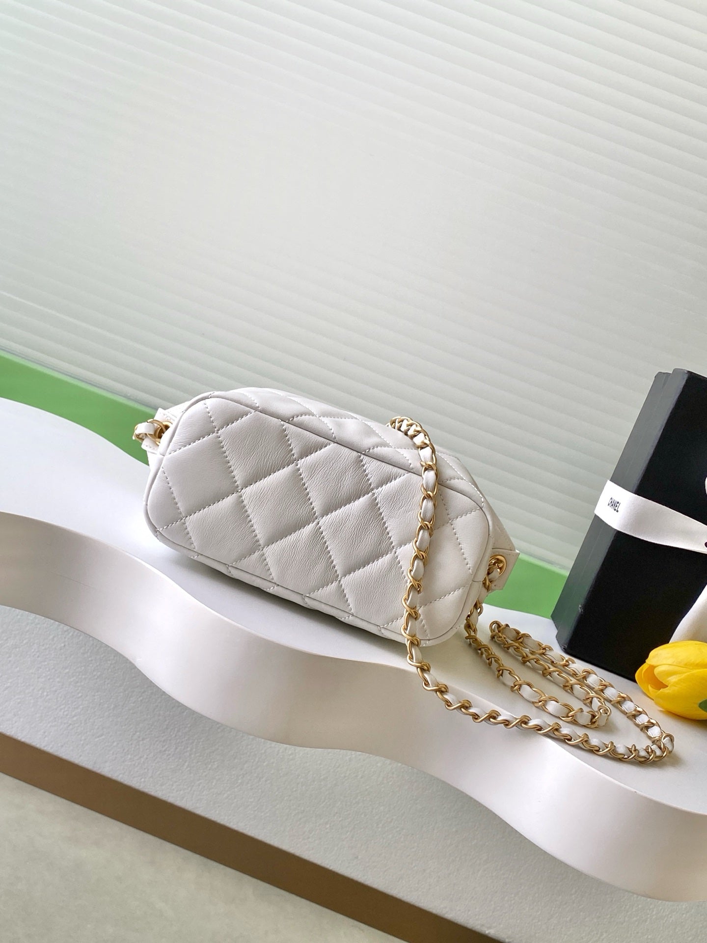 BAG-CHANEL-079