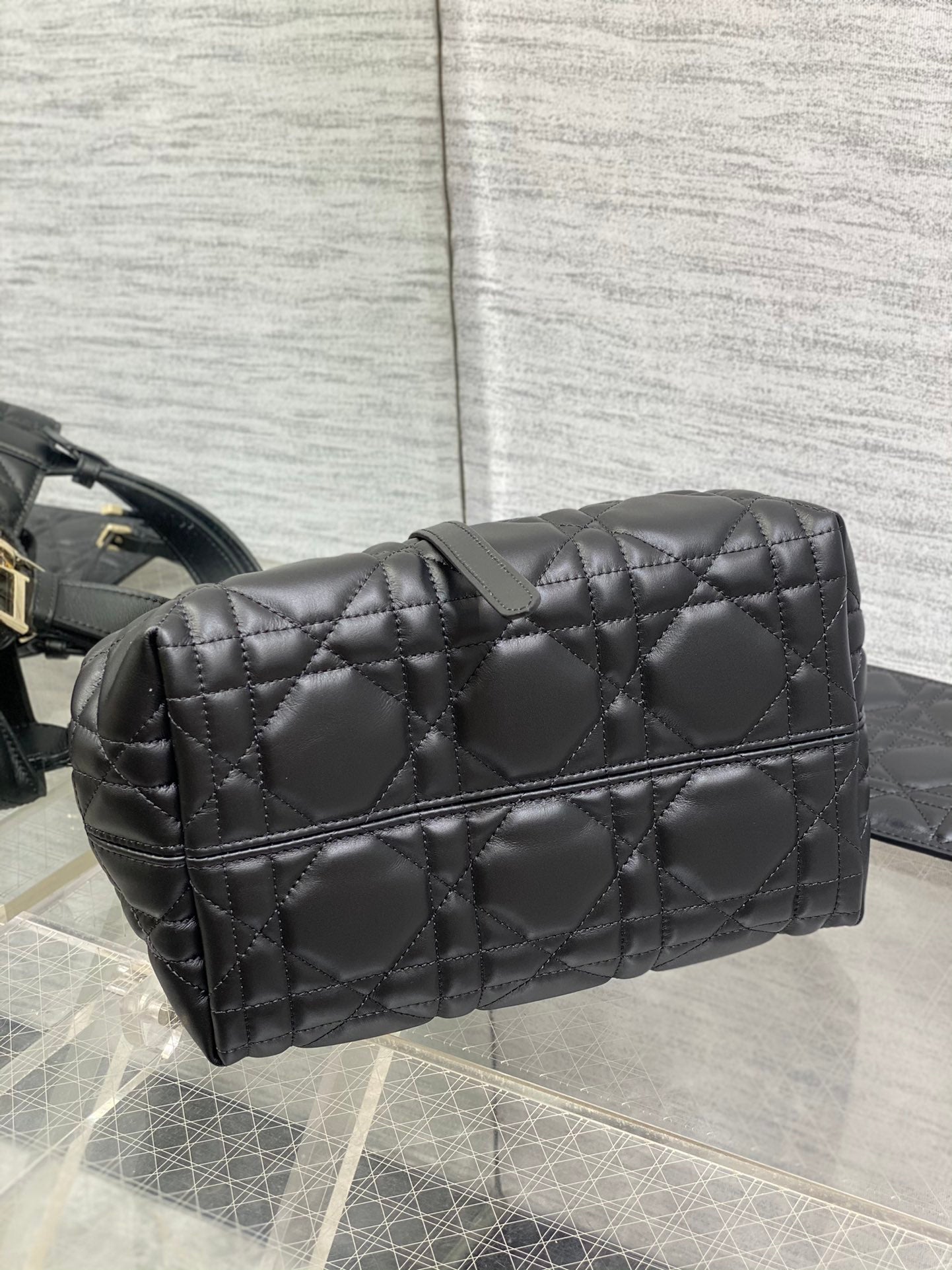 BAG-DIOR-W-LY-274
