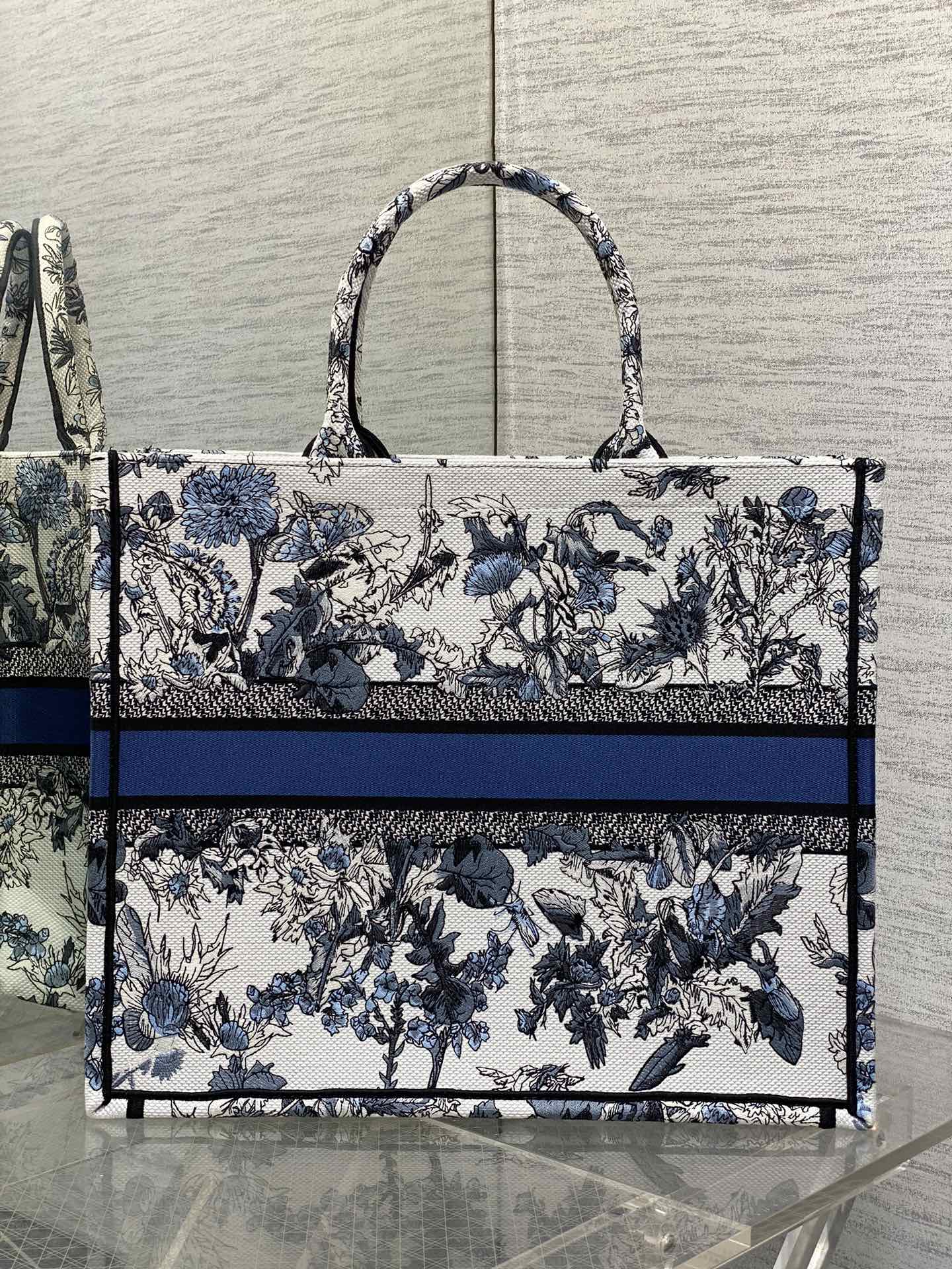BAG-DIOR-W-LY-881