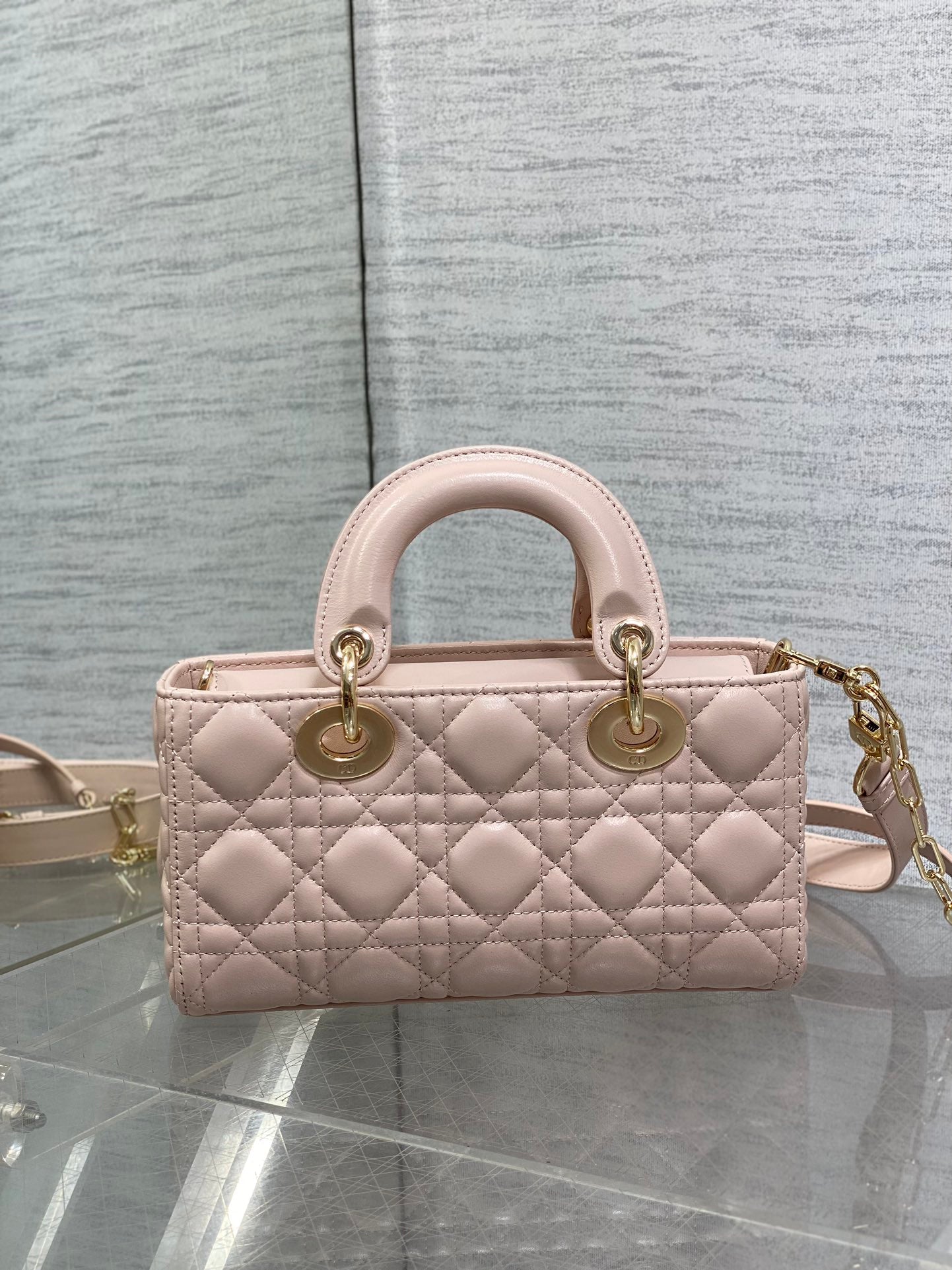 BAG-DIOR-W-LY-018