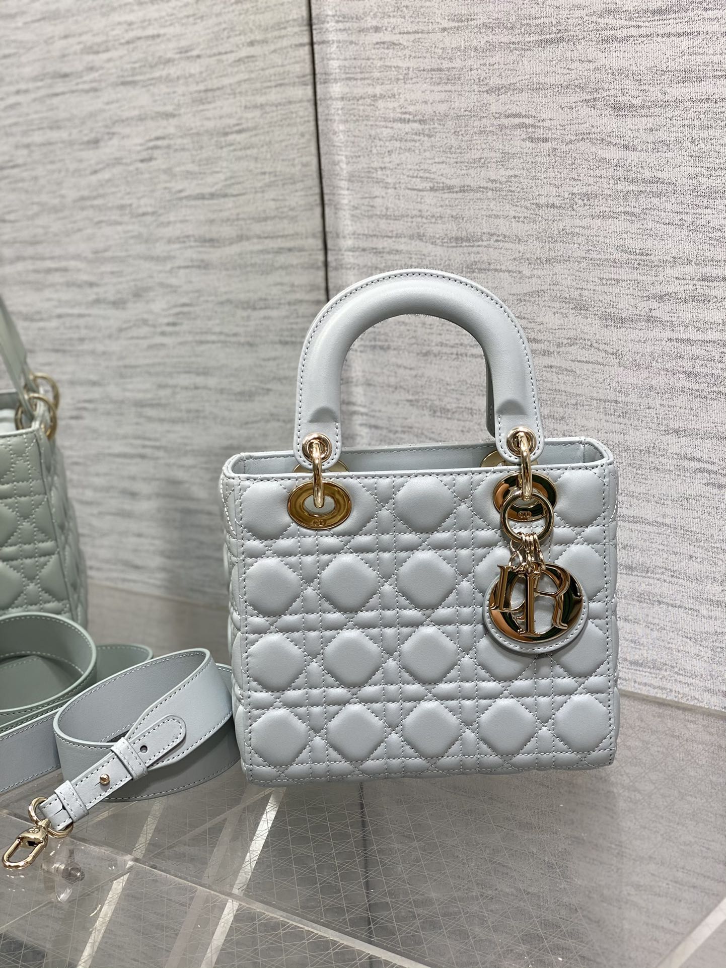 BAG-DIOR-W-LY-669
