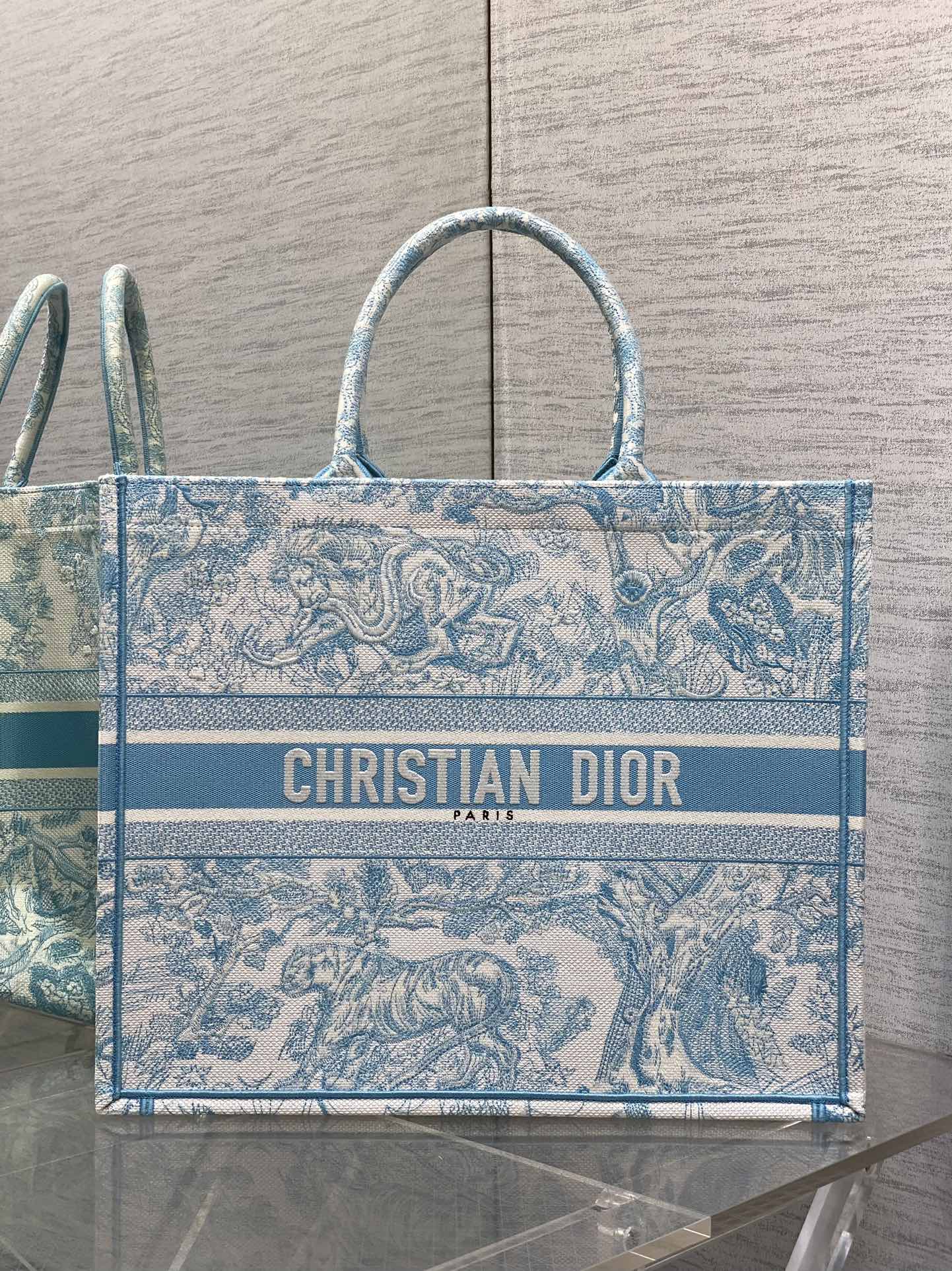 BAG-DIOR-W-LY-934