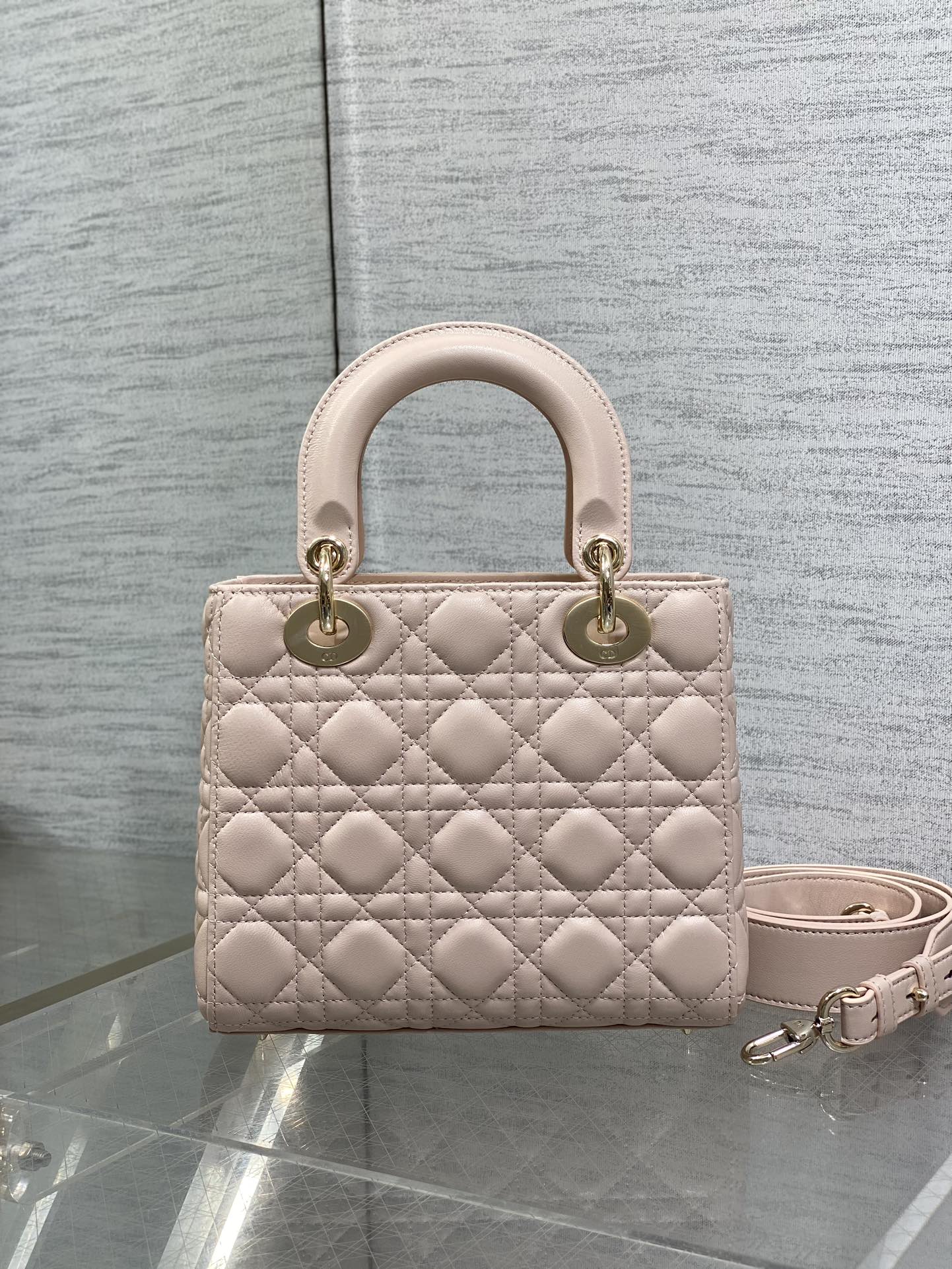 BAG-DIOR-W-LY-767
