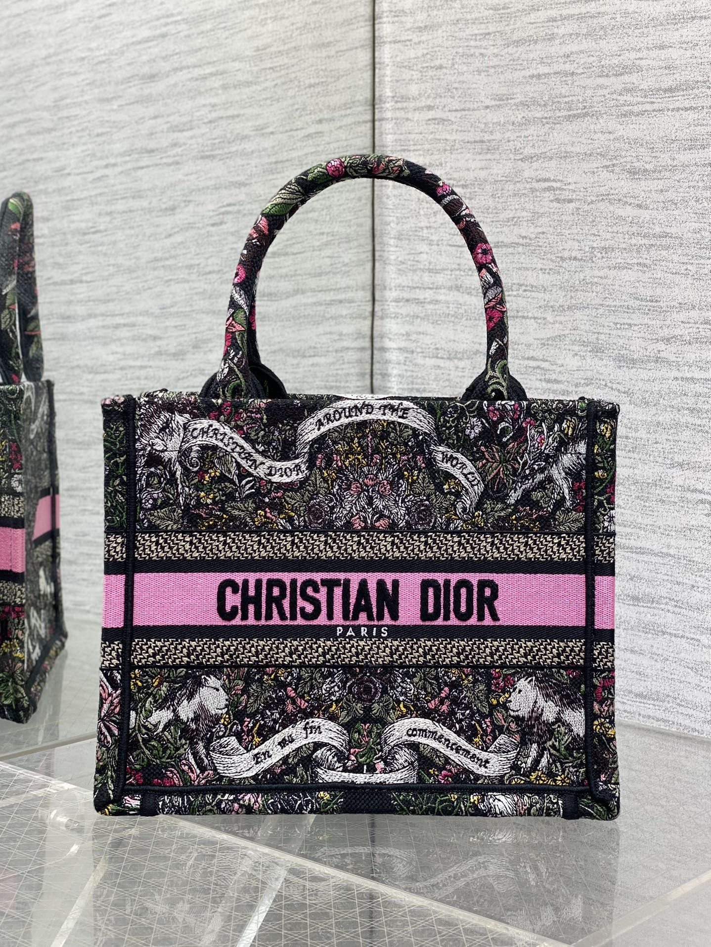 BAG-DIOR-W-LY-858