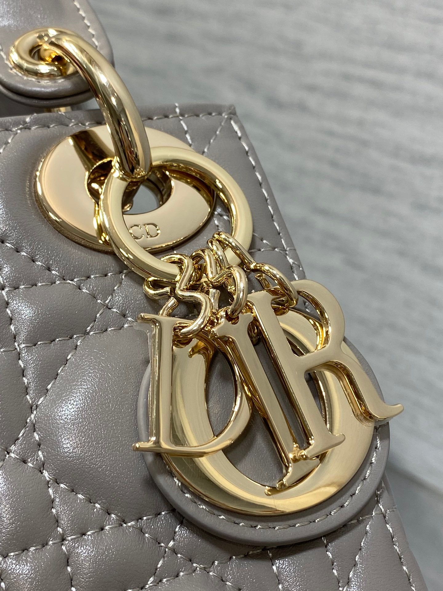 BAG-DIOR-W-LY-756