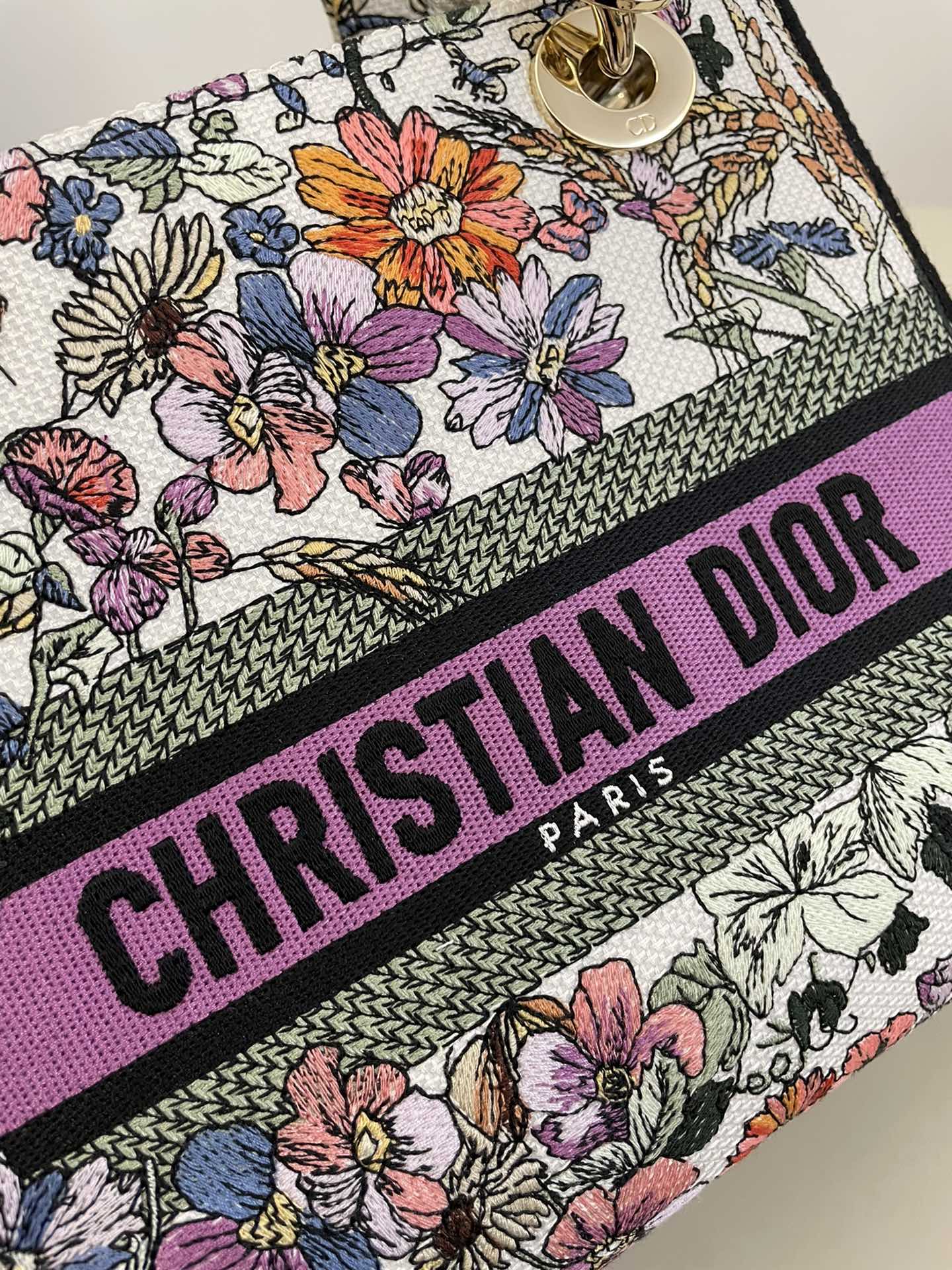 BAG-DIOR-W-LY-066