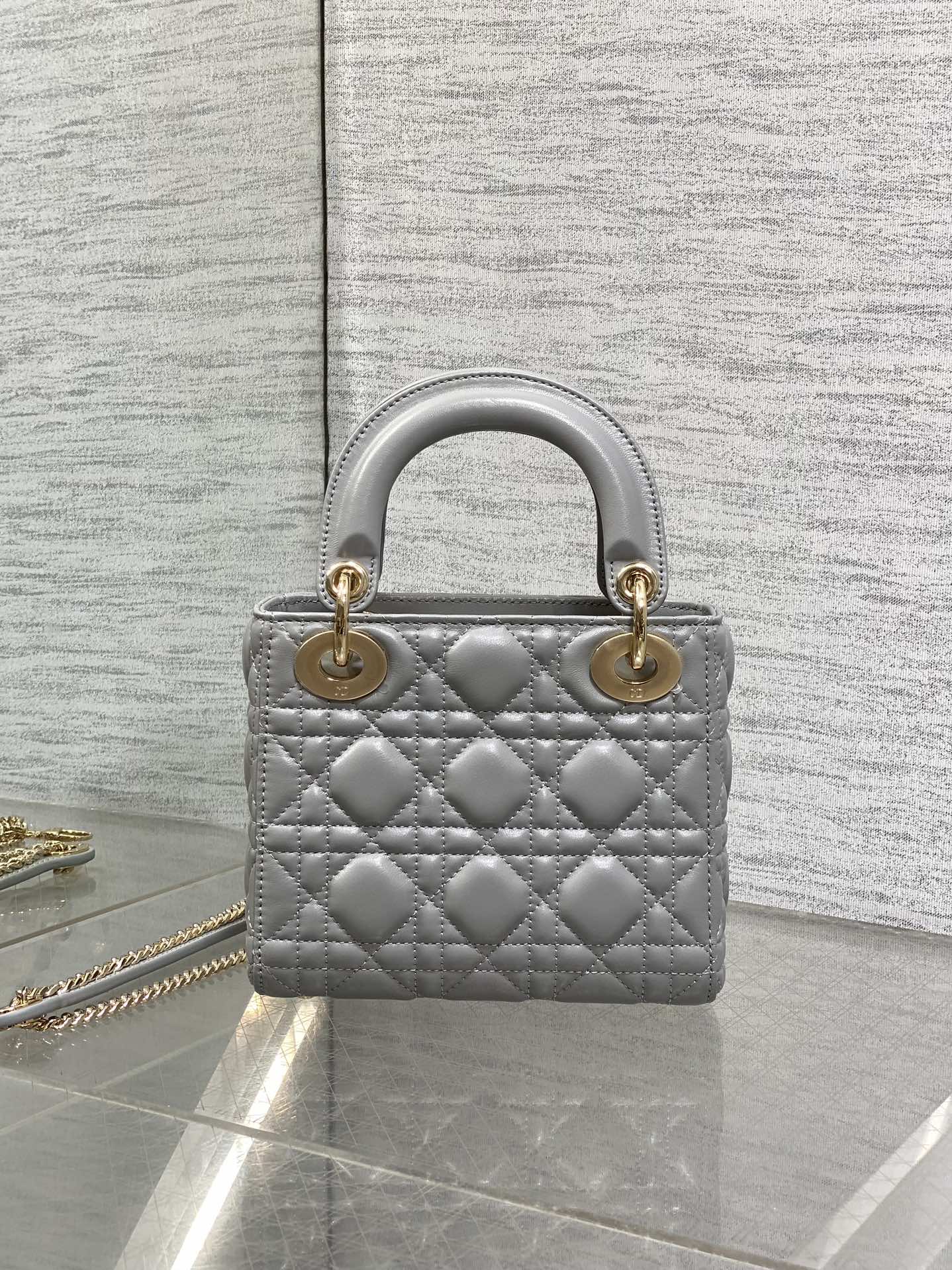 BAG-DIOR-W-LY-743