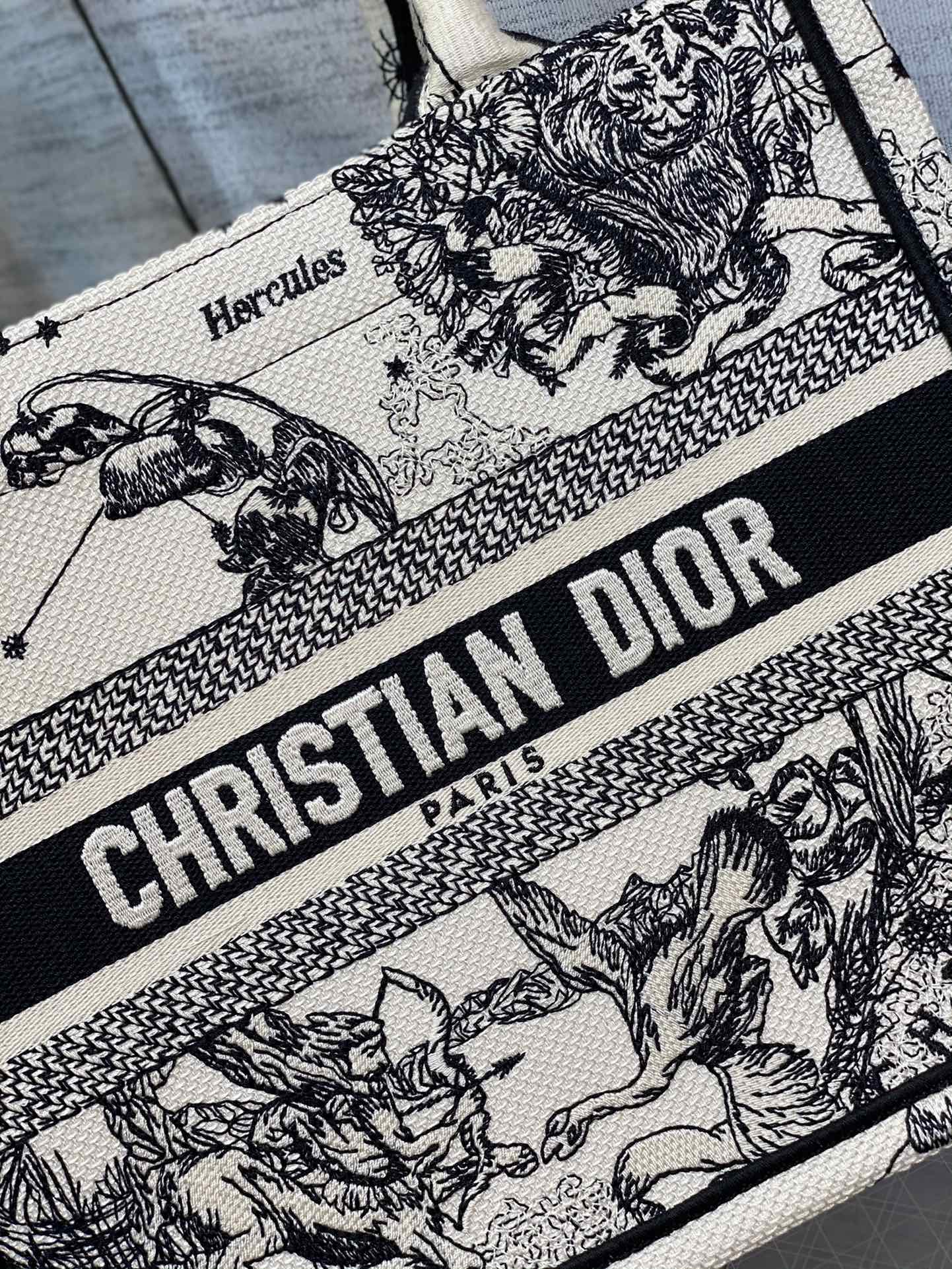 BAG-DIOR-W-LY-901