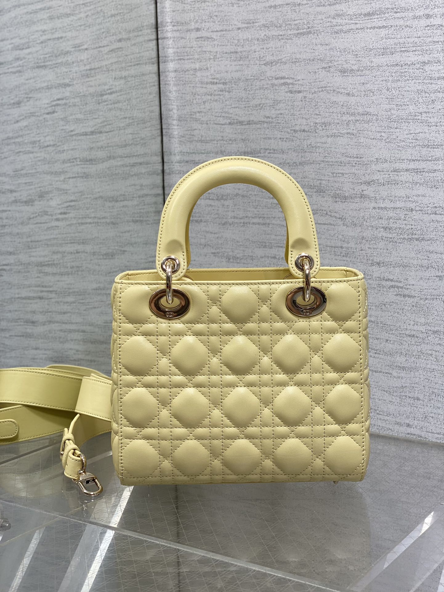 BAG-DIOR-W-LY-559