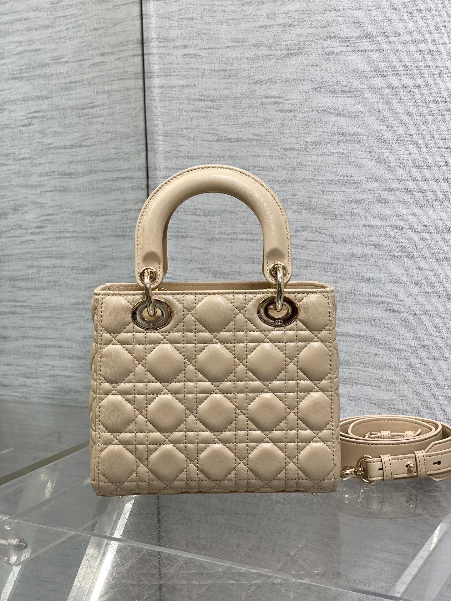 BAG-DIOR-W-LY-769