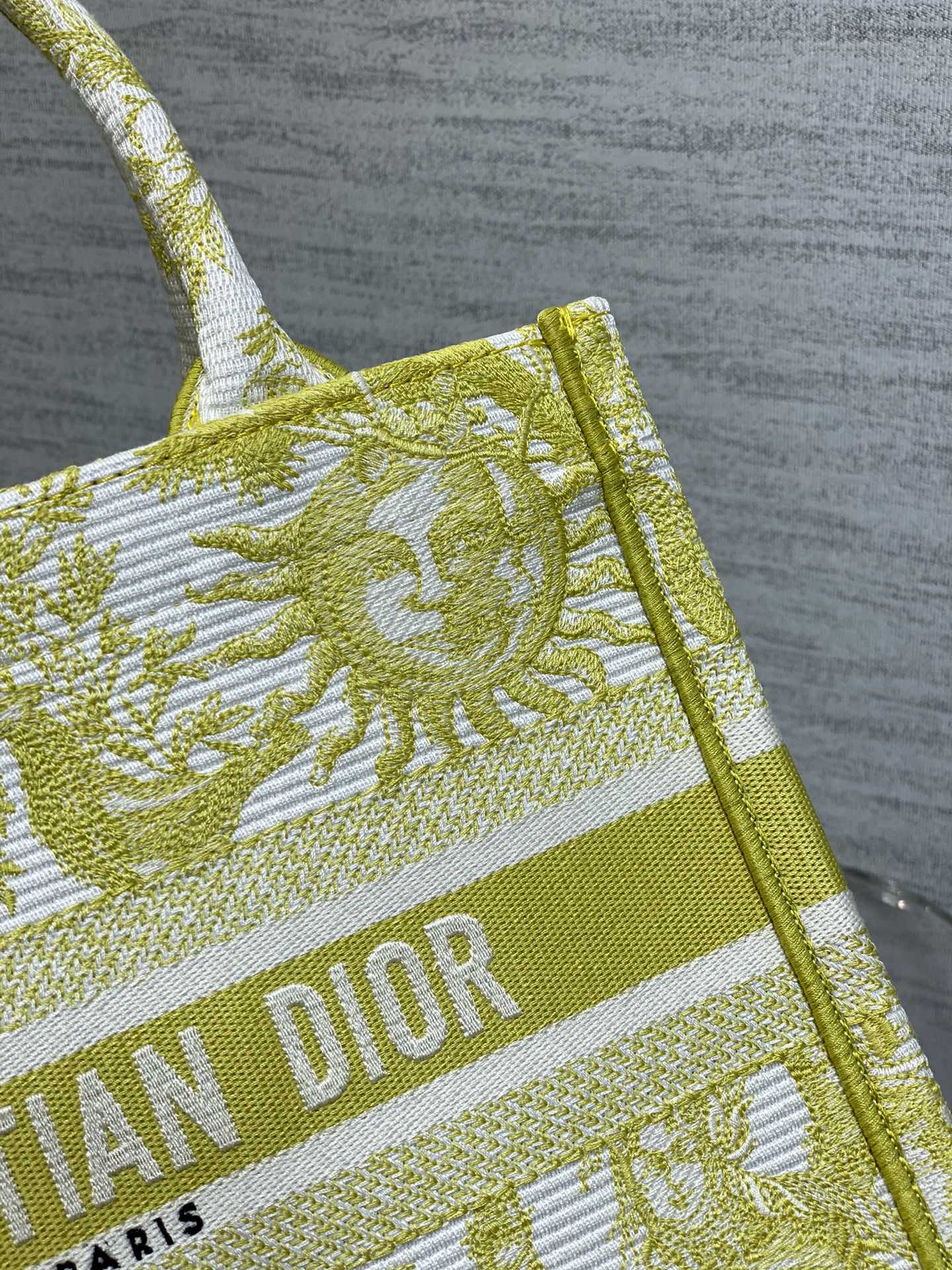 BAG-DIOR-W-LY-834