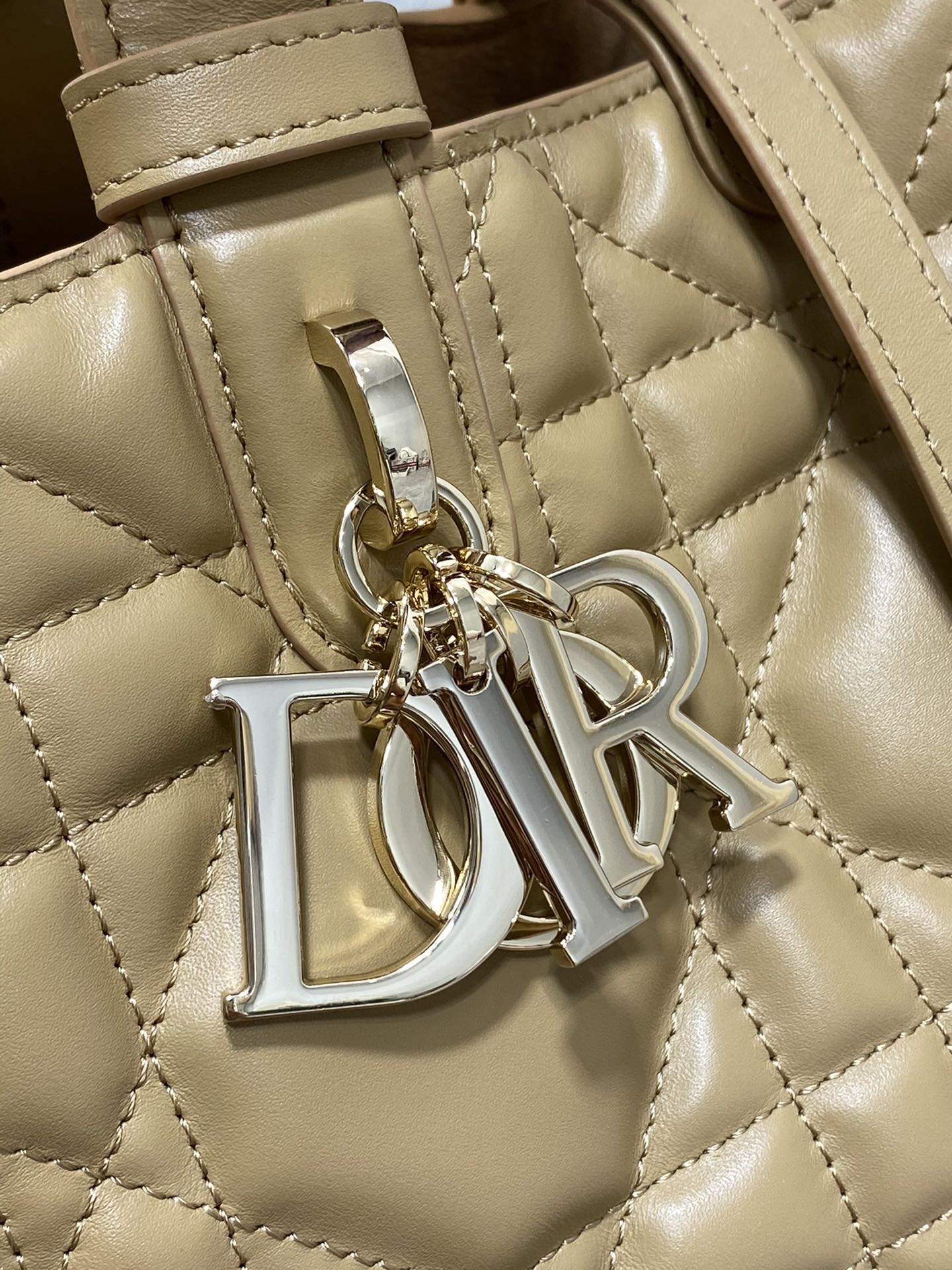 BAG-DIOR-W-LY-170